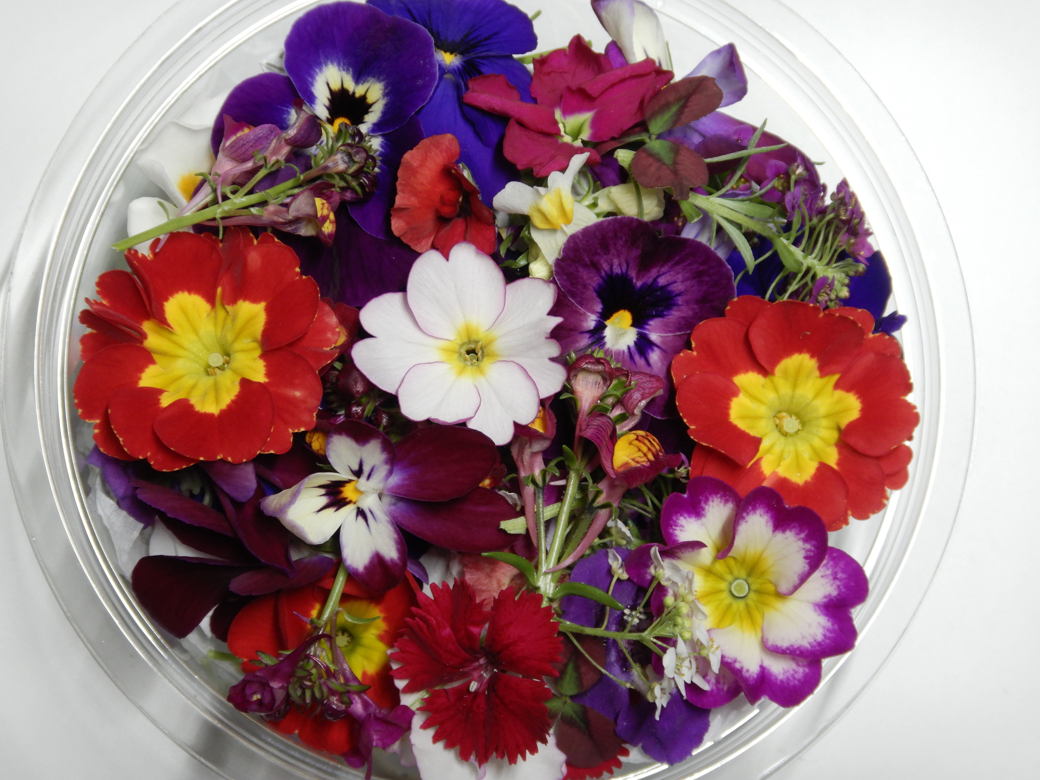 オサレなご注文内容