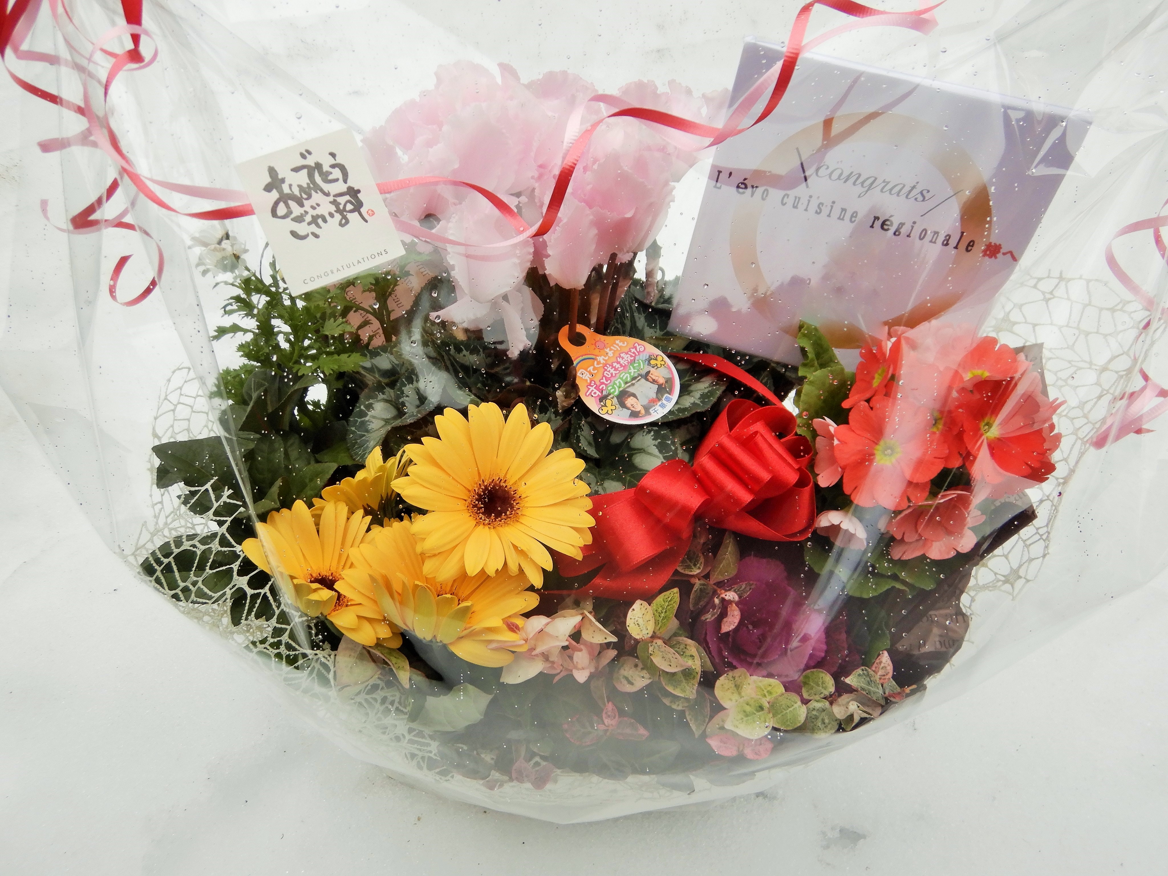 豪雪レストランへ