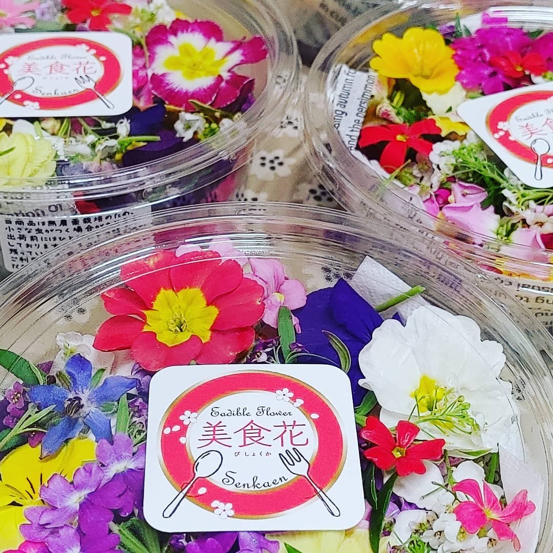 スターシェフ御用達☆