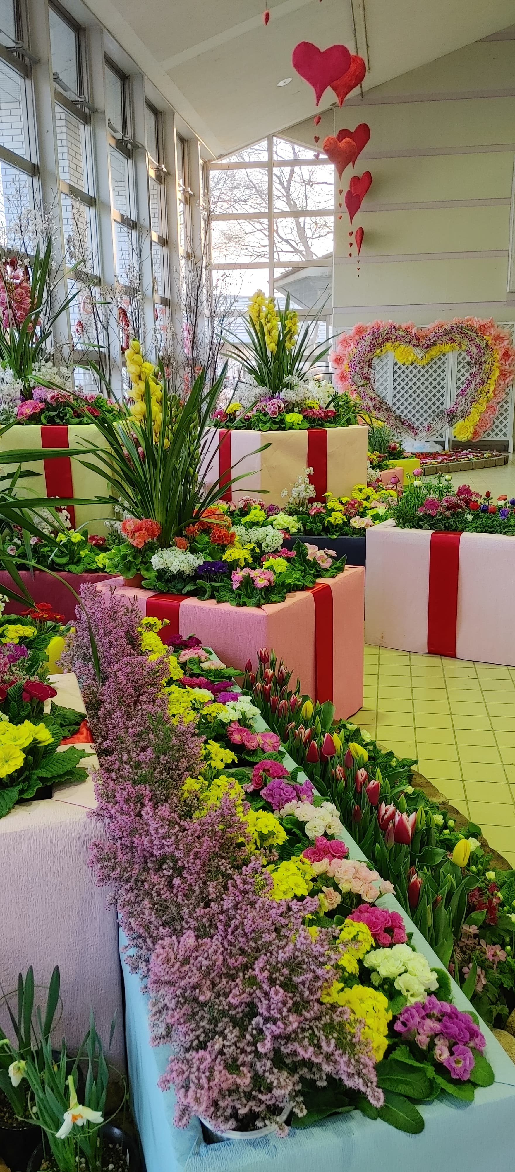 エレガガーデン早春の花まつり