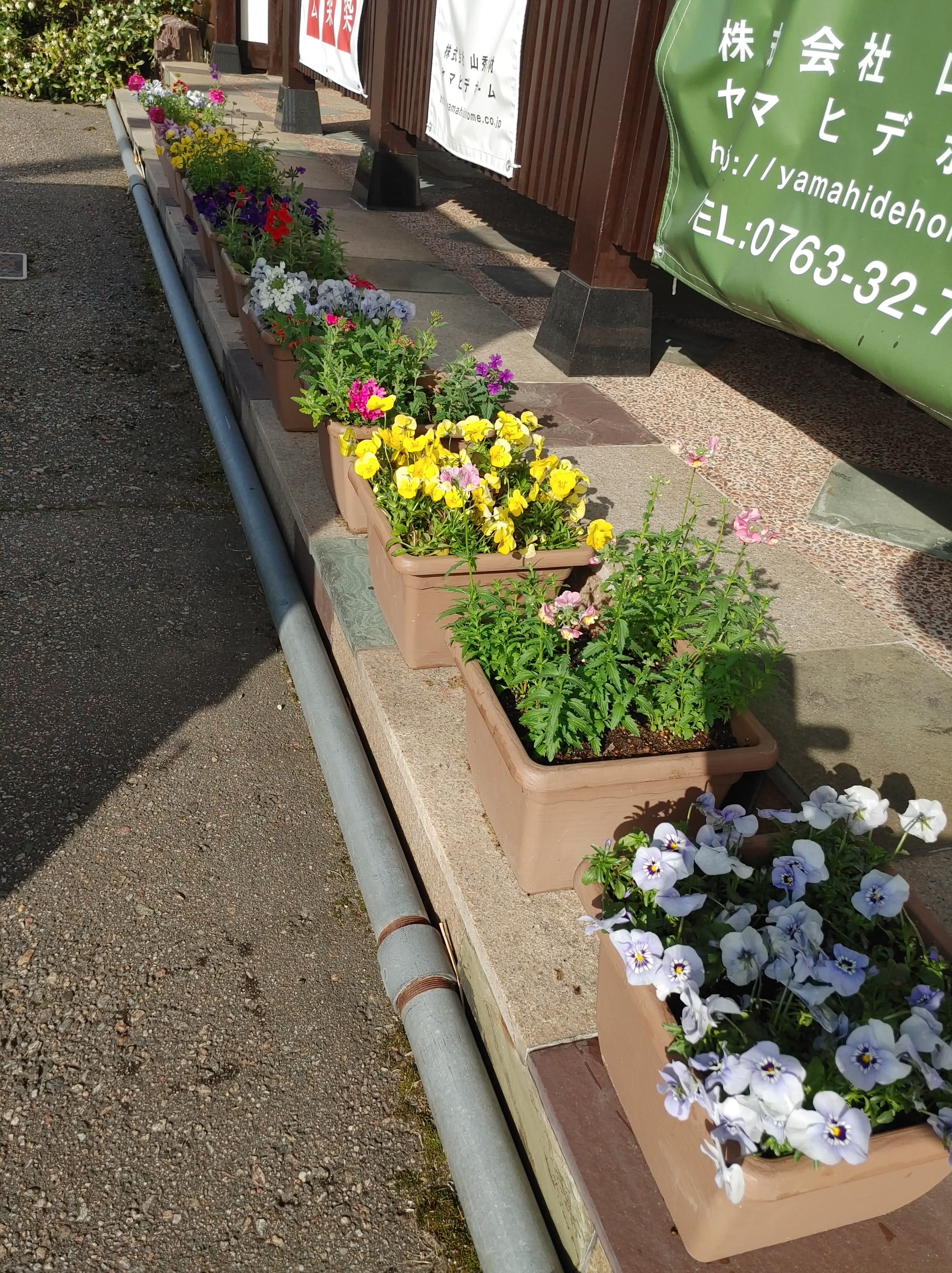 今期もお花も納品完了！！