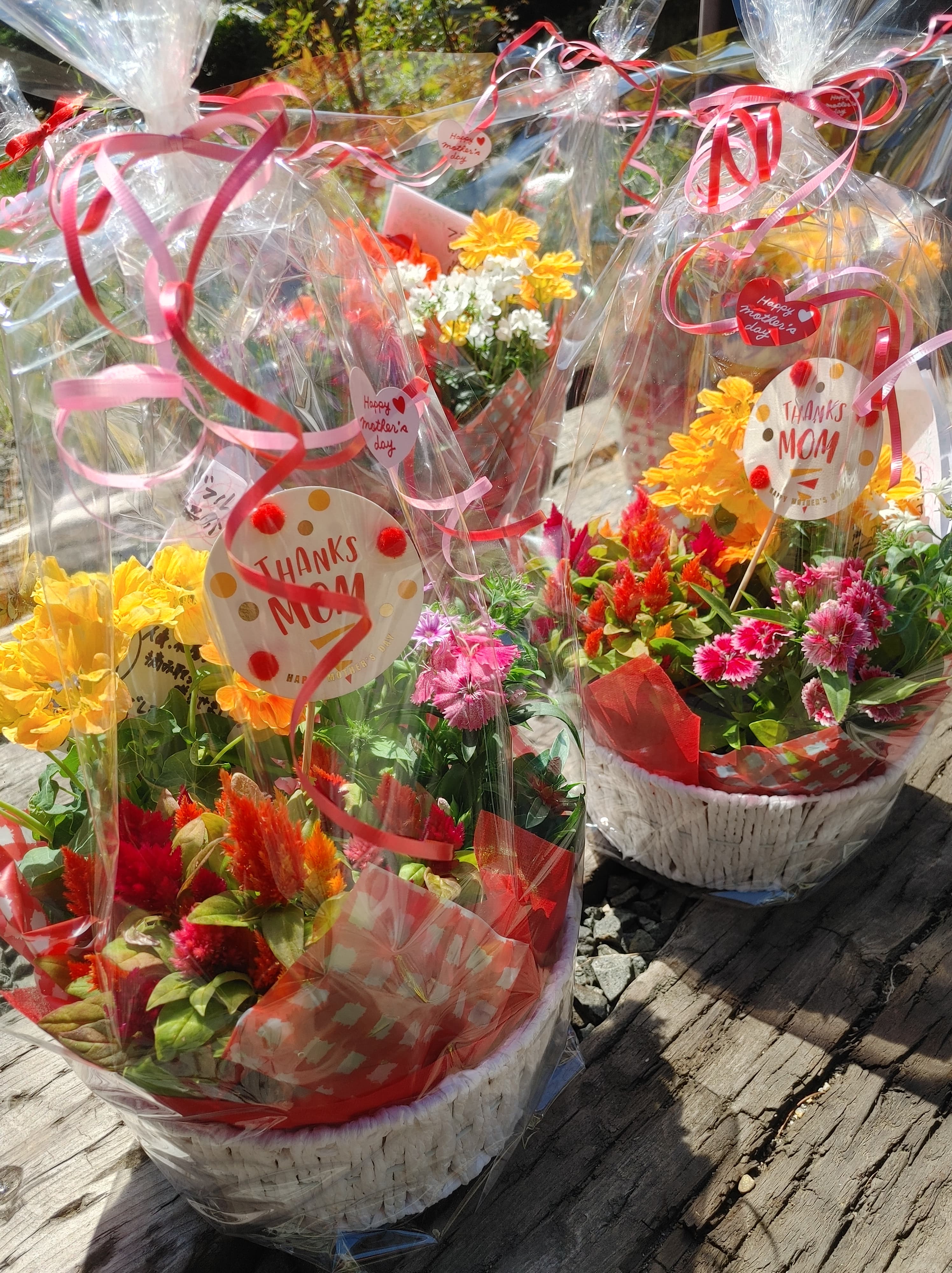 まだまだ続くよ「母の月」