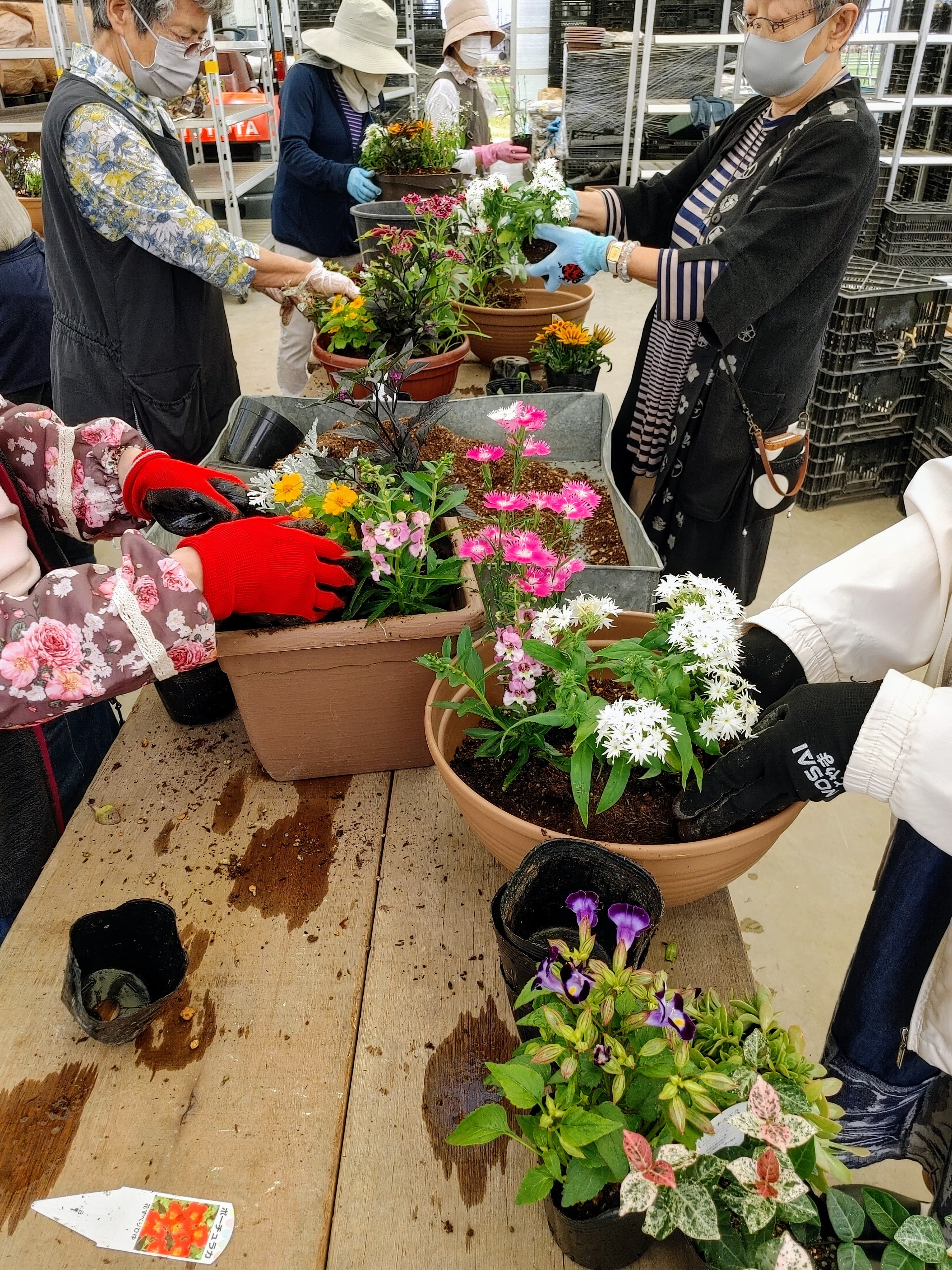 今月のJOY☆ガーデニング隊