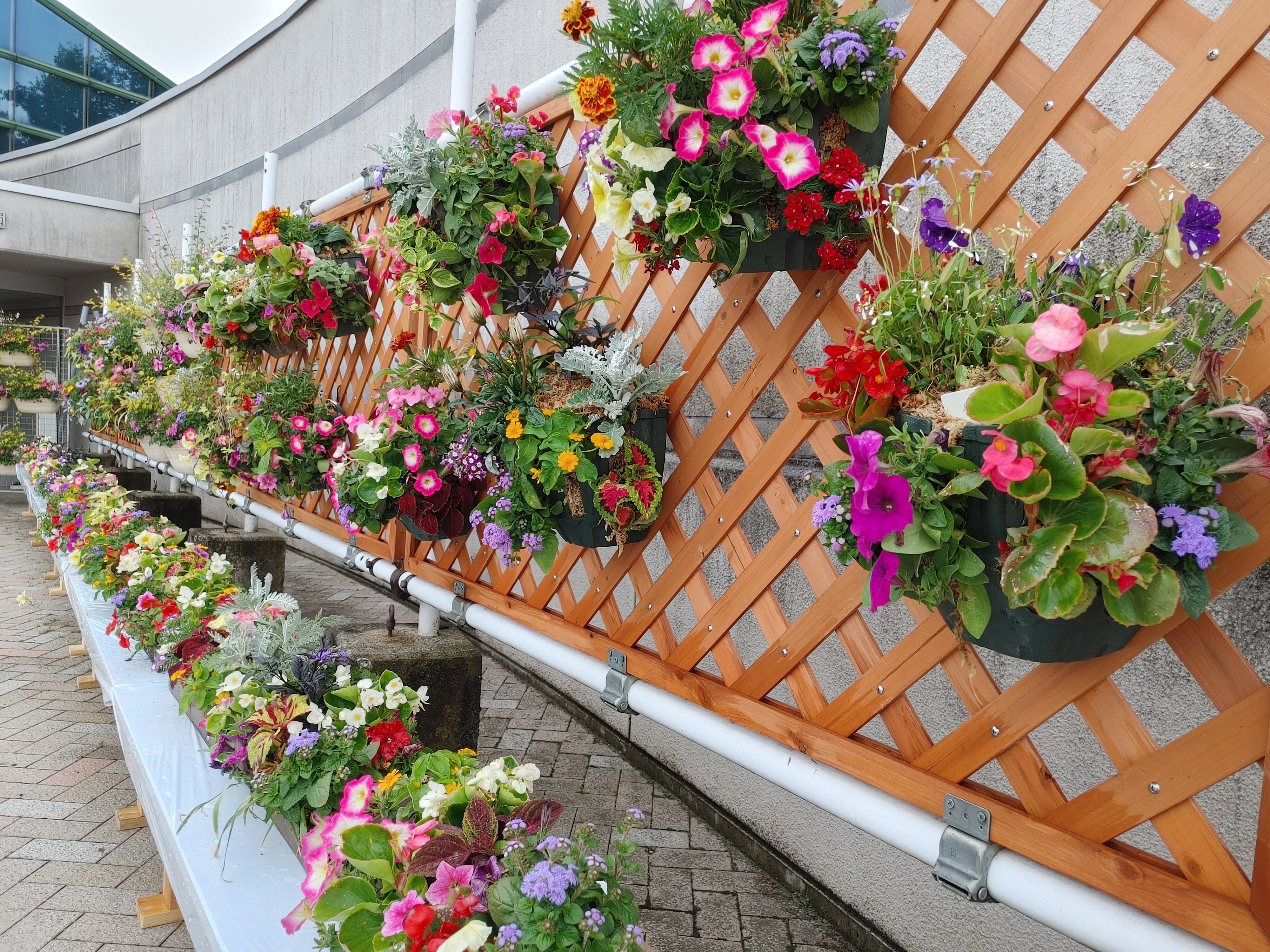 花と緑のフェスティバル会場潜入