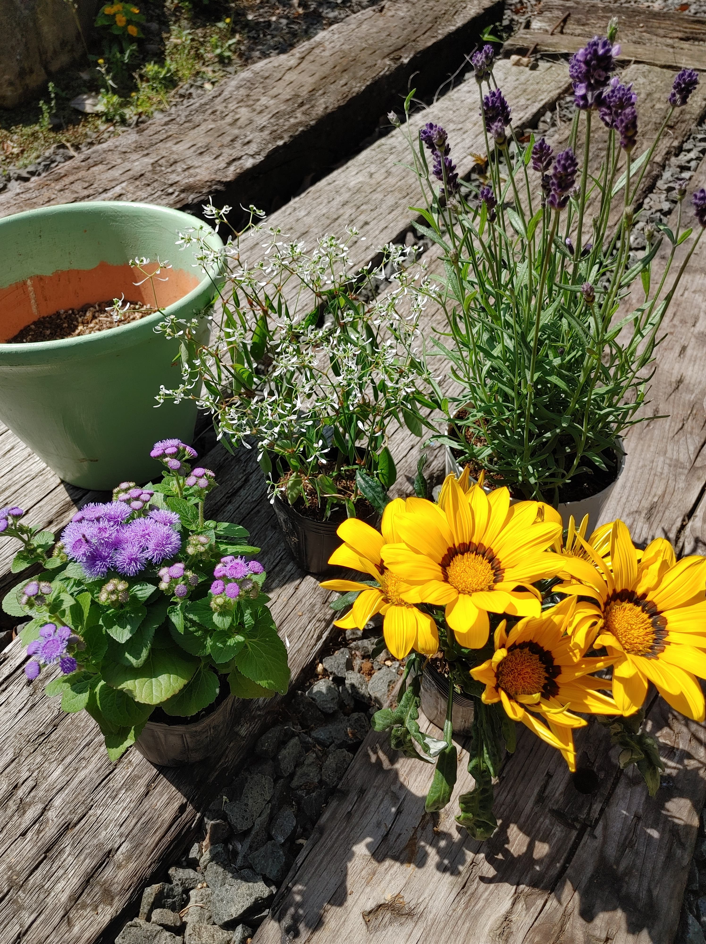 ワタクシがライター！？