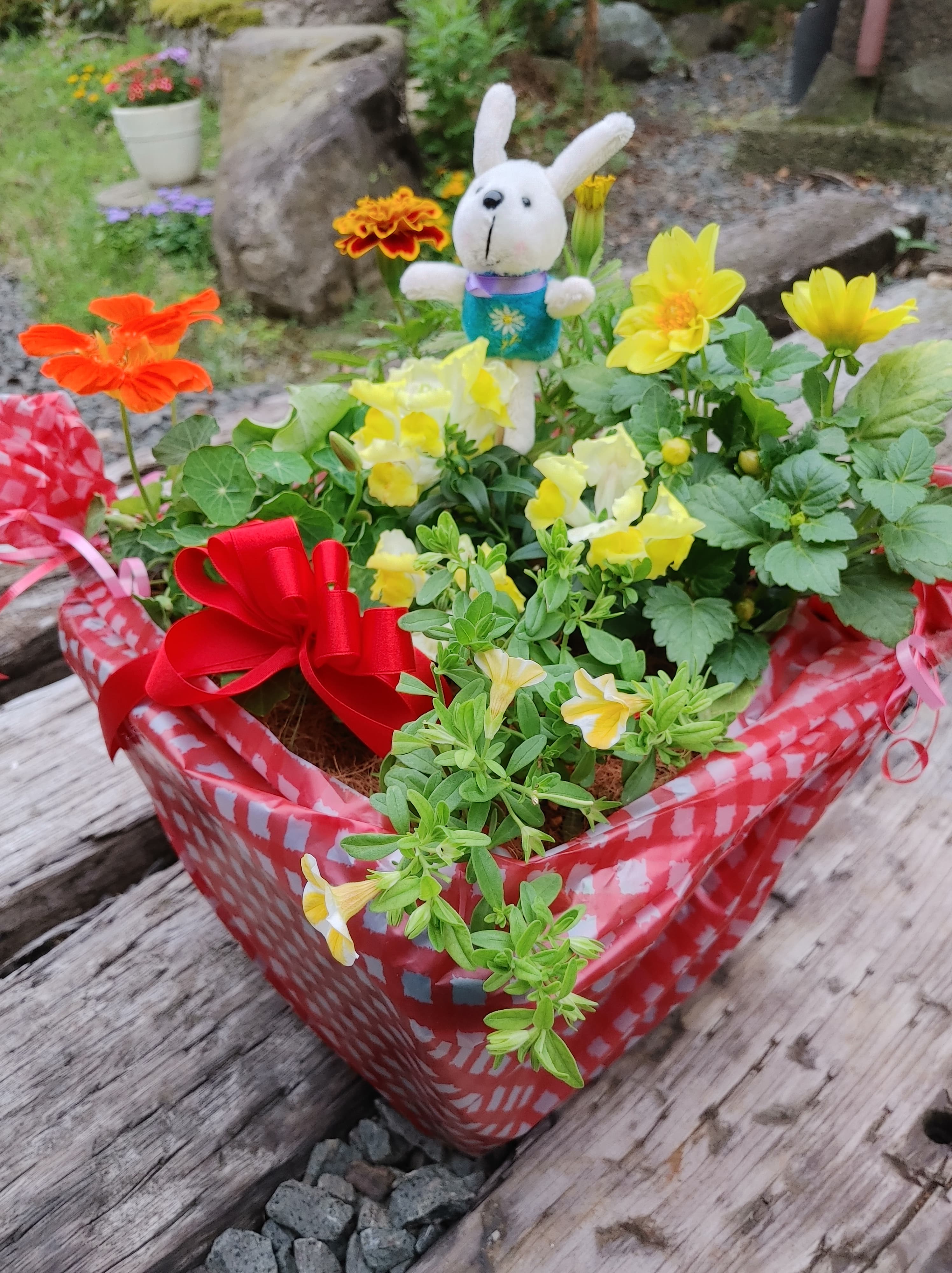 美食花の寄せ植えギフト🌸