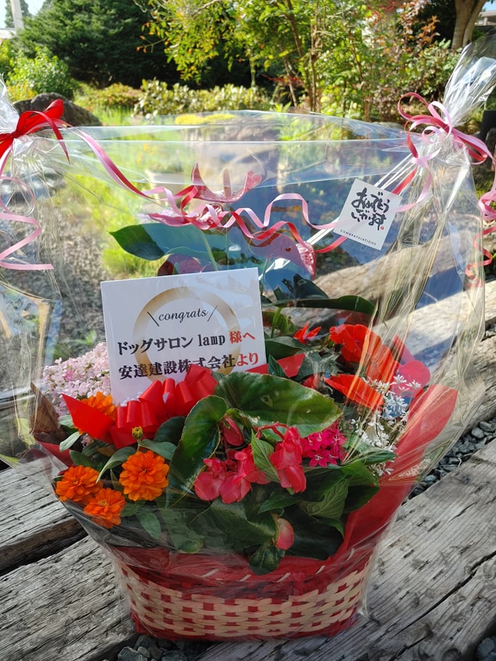 お祝いや記念日にフラワーンダフル🌸