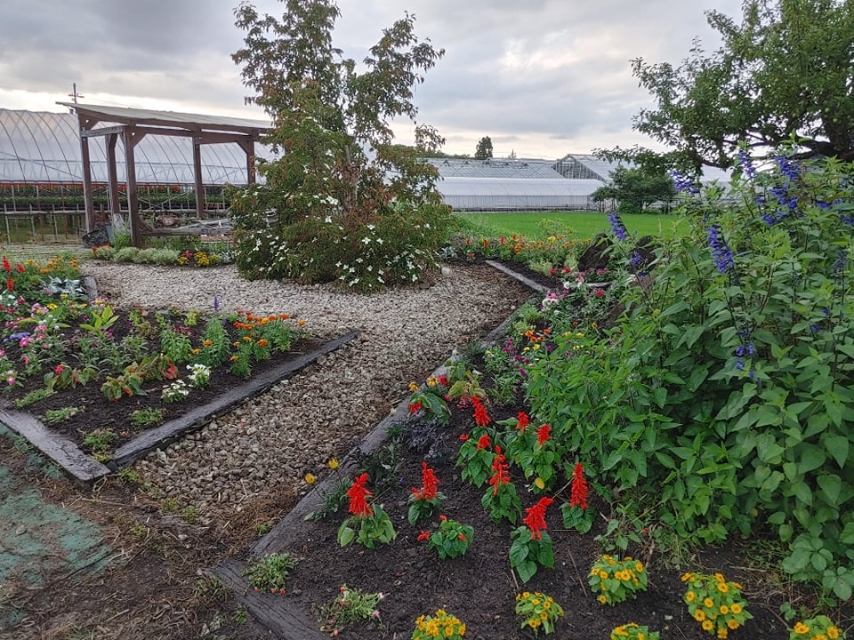 ようやくフラワールド2021完成☆