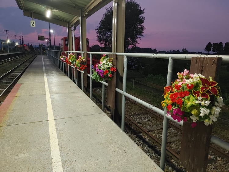 駅前花飾り水やり当番