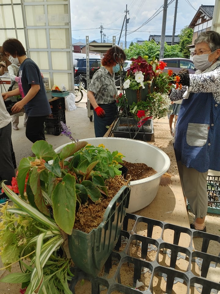 今月のJOY☆ガーデニング隊