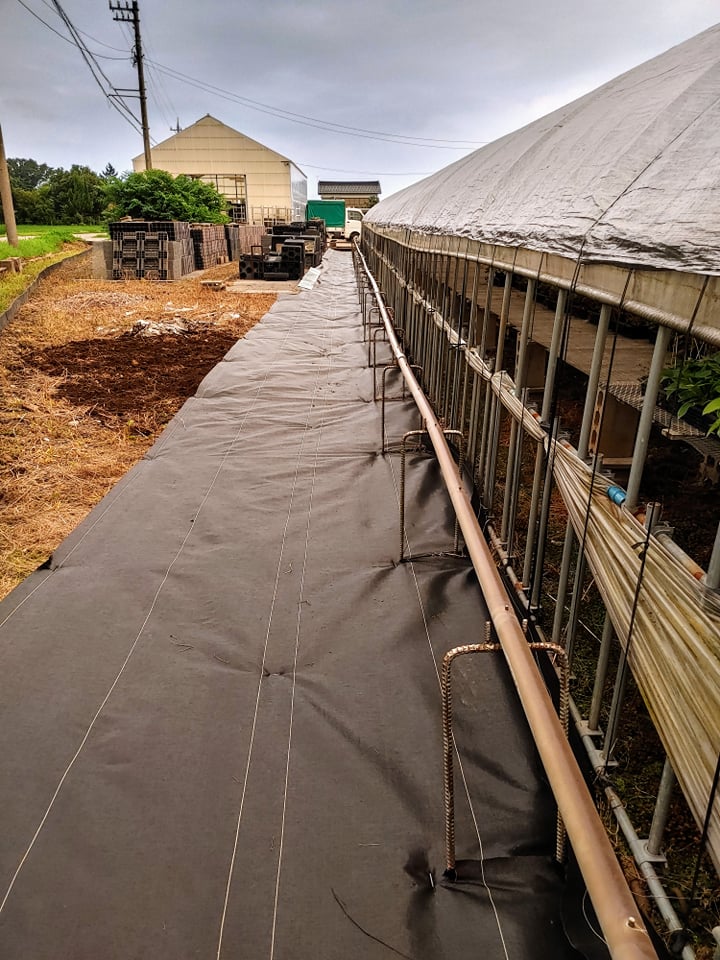 再防草シート張り職人！！