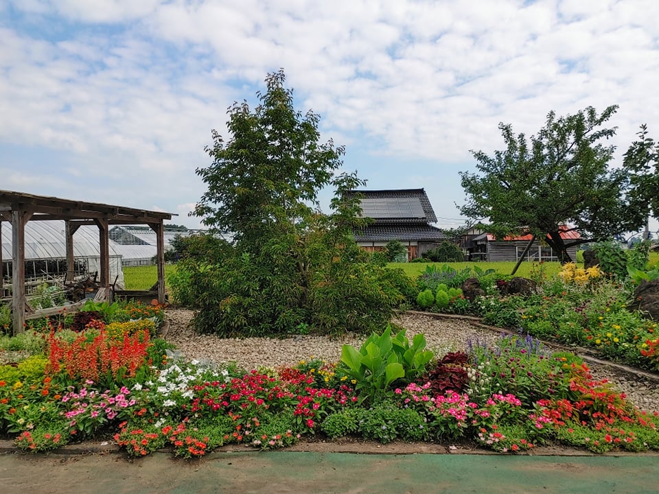今年のフラワールド🌸
