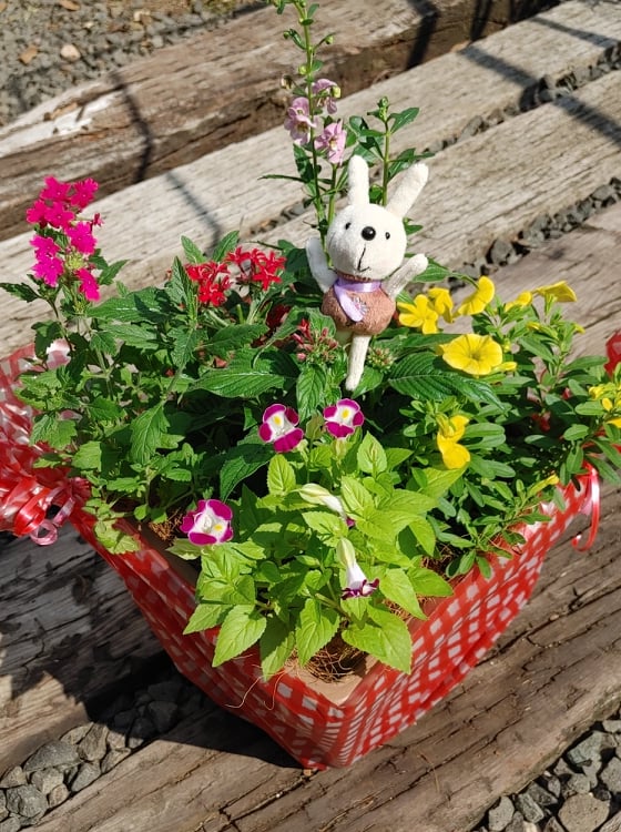 エディブルフラワー寄せ植えが人気！！