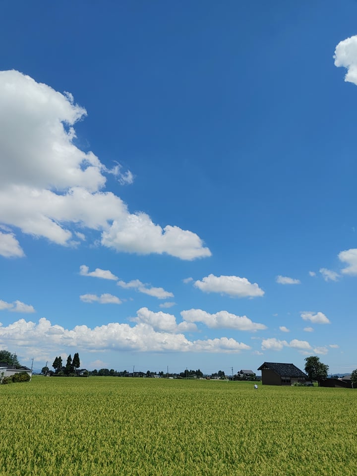 画面からも暑い！！！