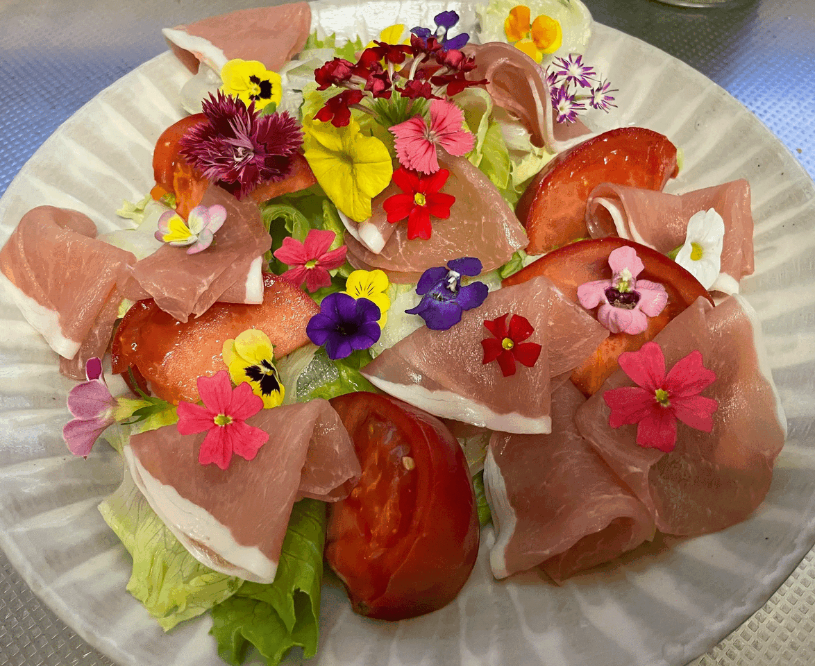 夏休みの自由研究に♪