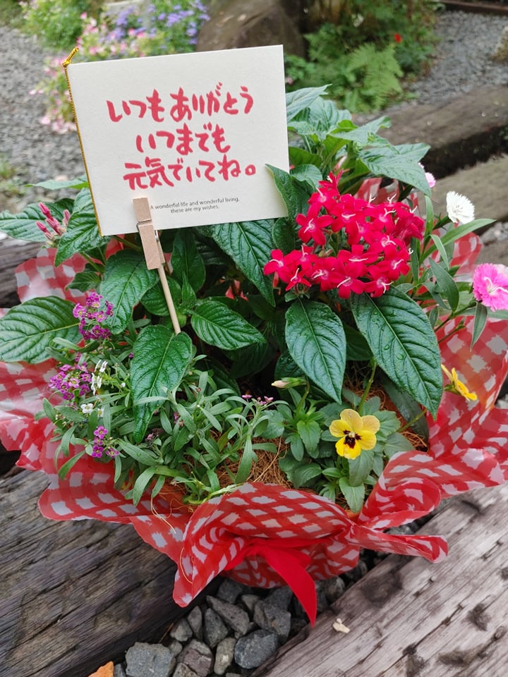 「産んで下さってありがとうございます」