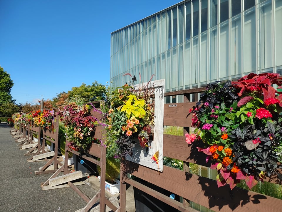 晴天で見るハンギングバスケット展