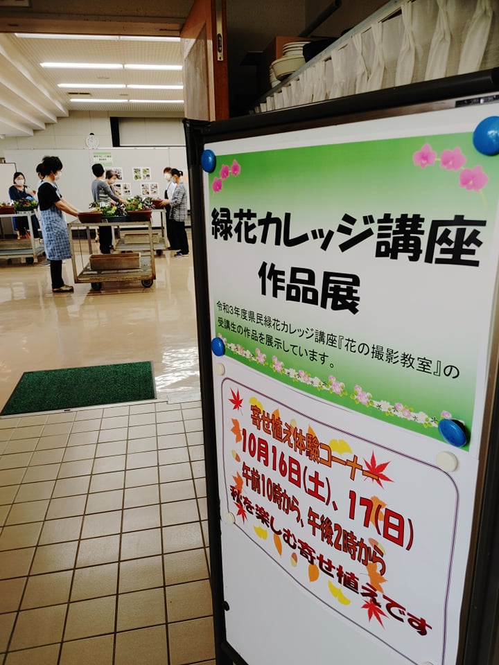 エレガガーデン秋の花まつり🌸