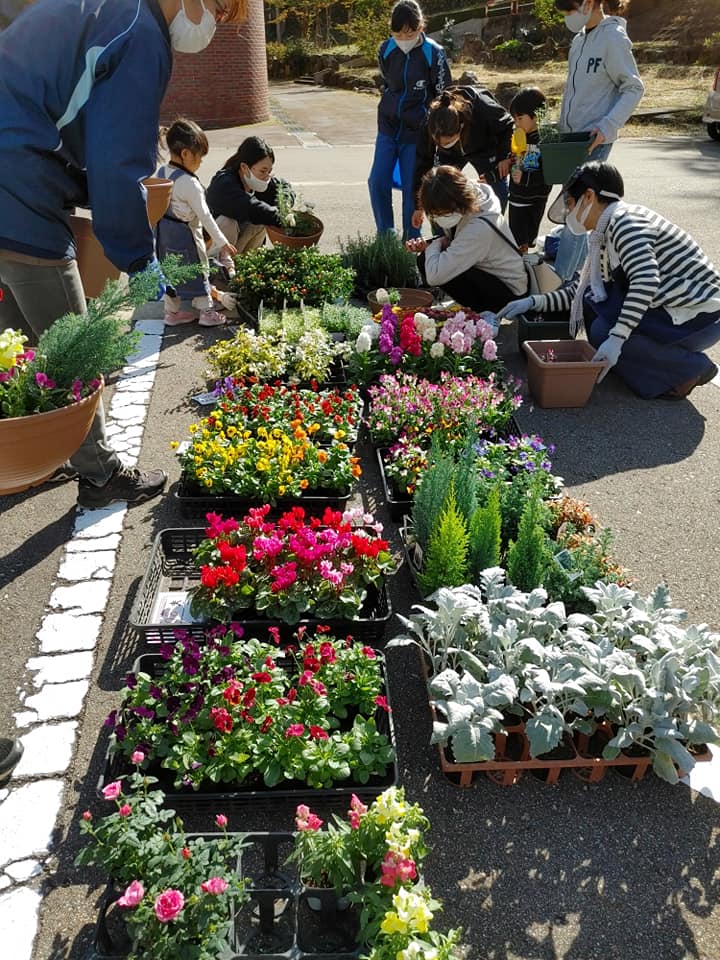 寄せ植えシーズン真っ只中花