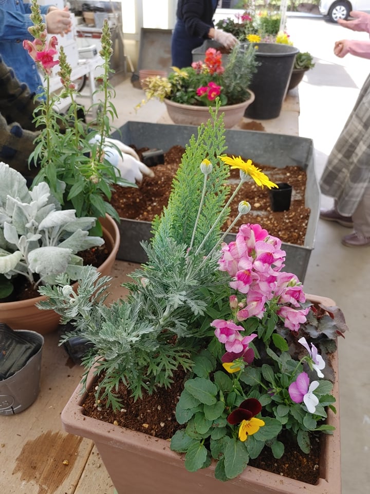 10月のJOY☆ガーデニング隊