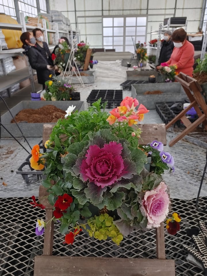 11月のJOY☆ガーデニング隊