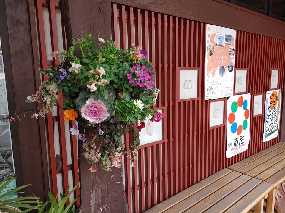 定期的お花の植え替え🌸