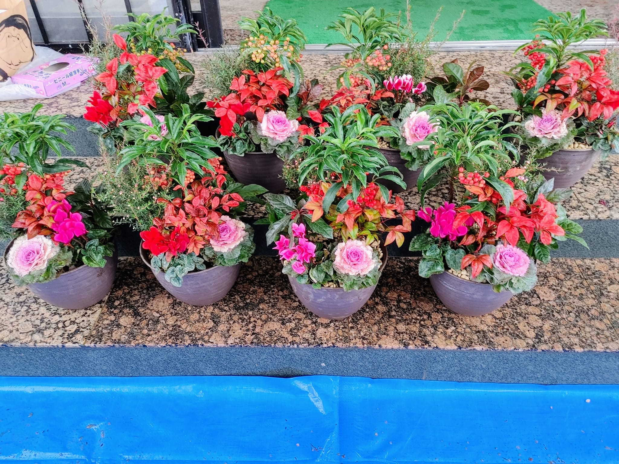 商工会女性部活動に寄せ植え教室