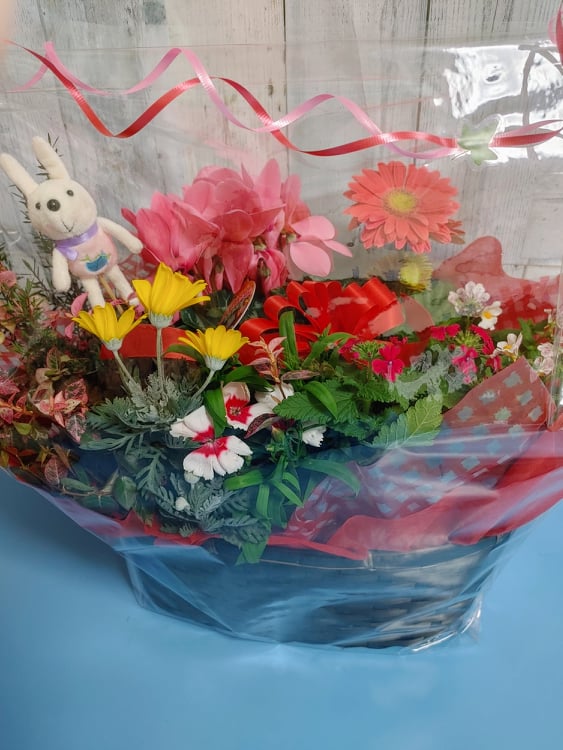 今年最後のフラワーンダフル🌸