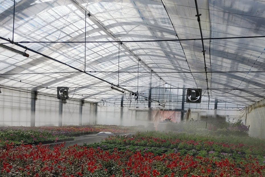 ハウスの中が幻想的