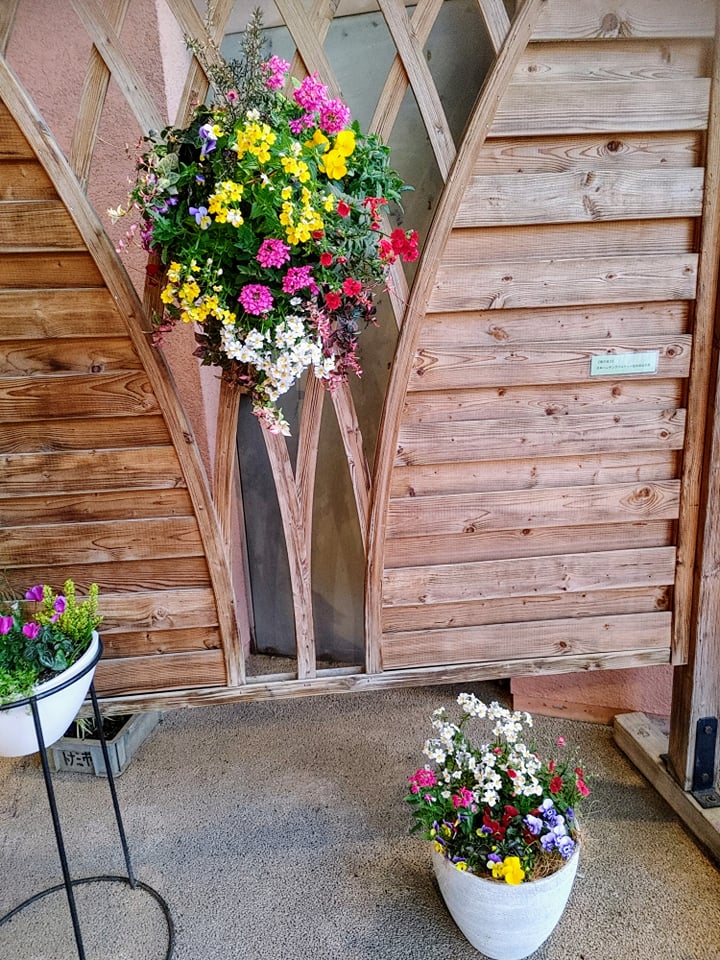 チューリップ四季彩感館に納品