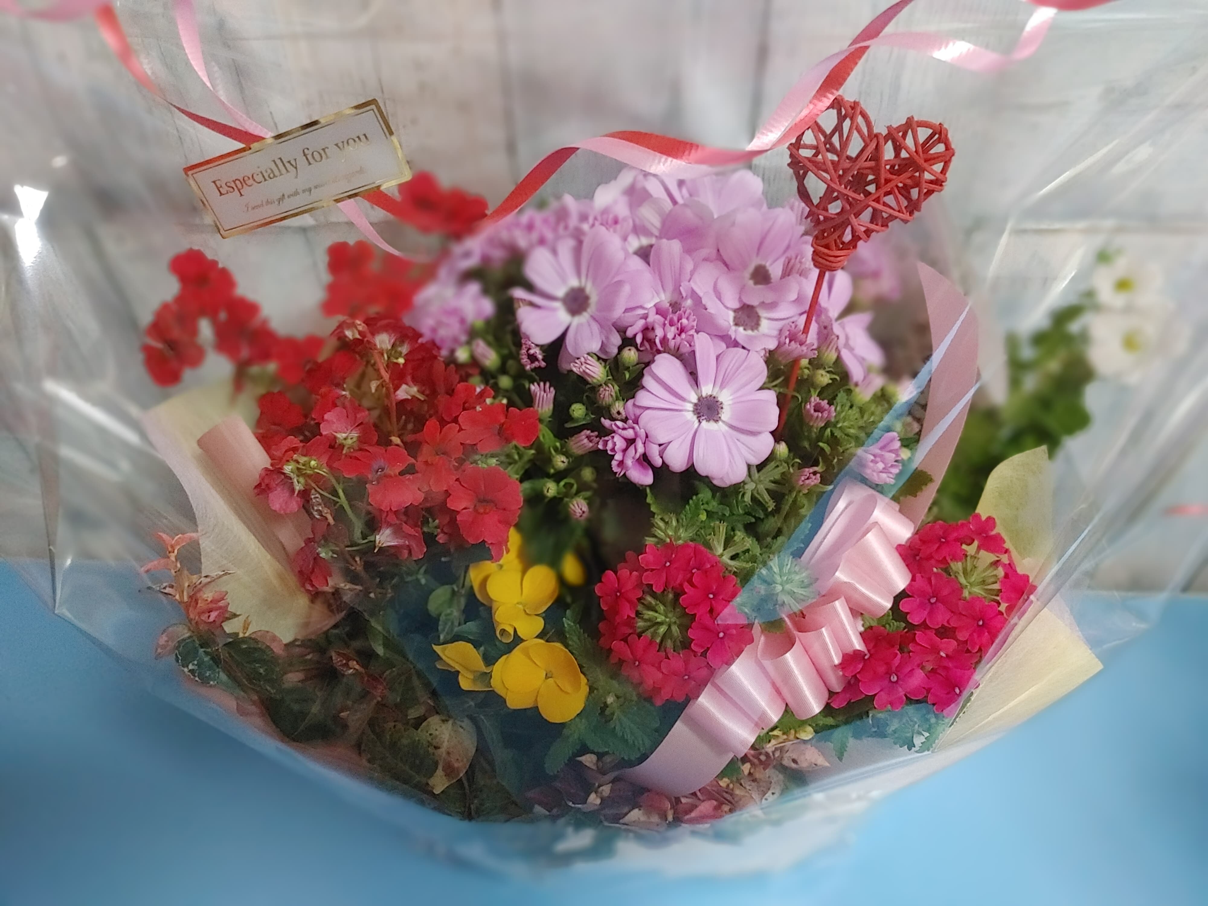 続々☆ふらわーんだふる～♪