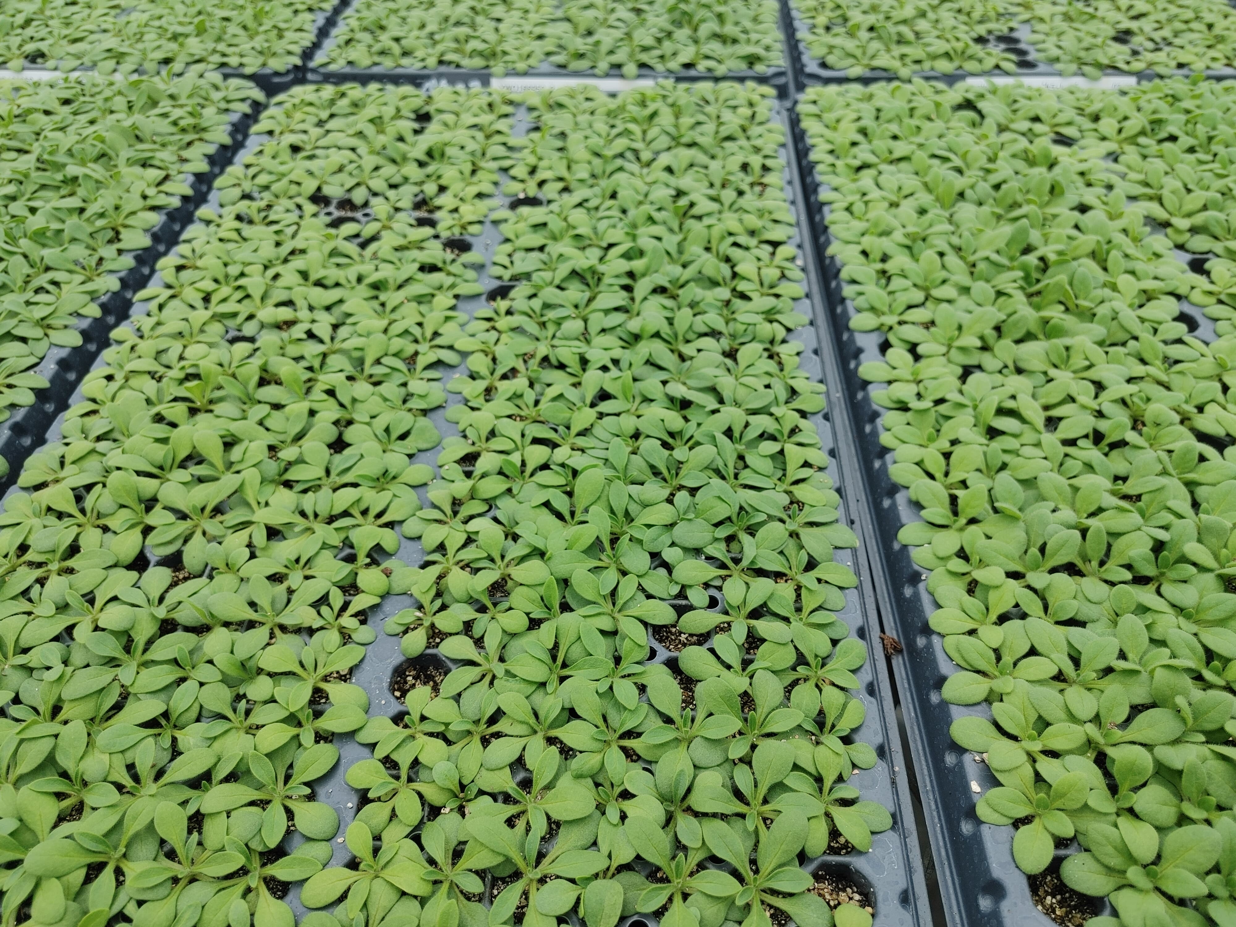 新年度スタート☆