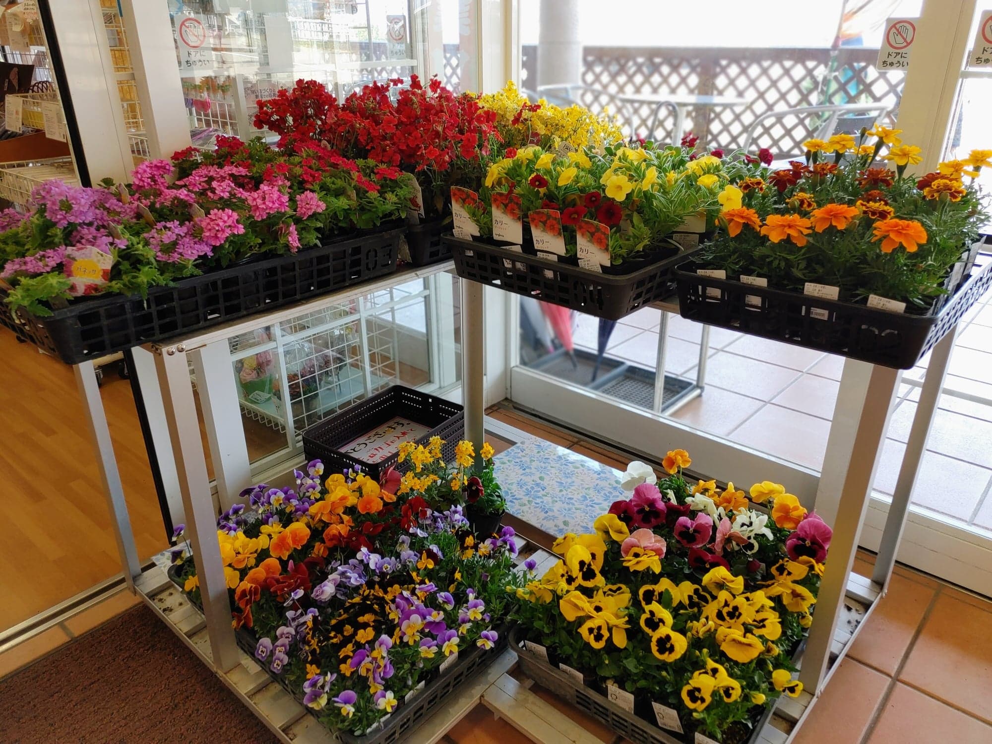 産地直売所へ納品❀