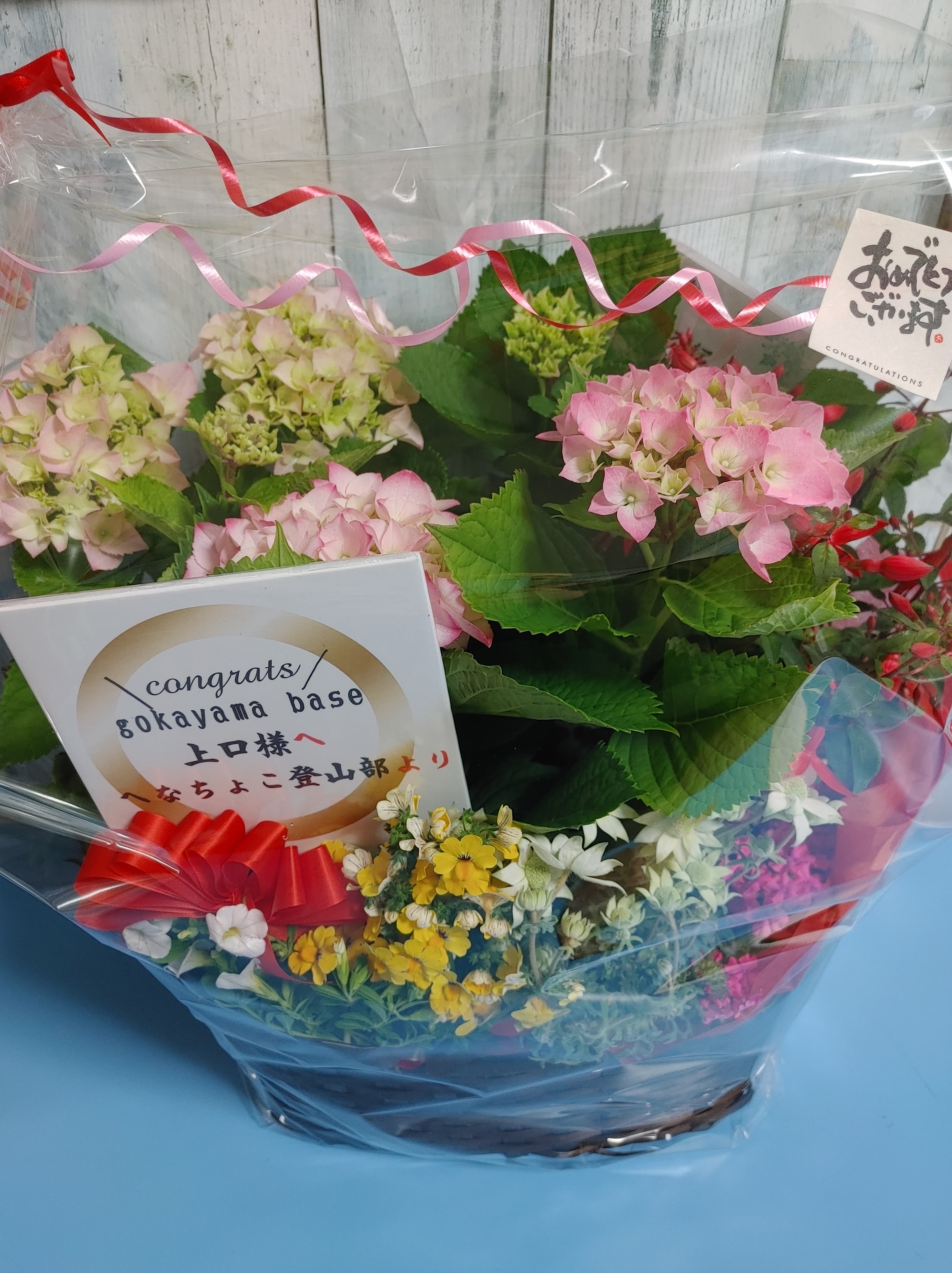 五箇山にゲストハウスOPEN