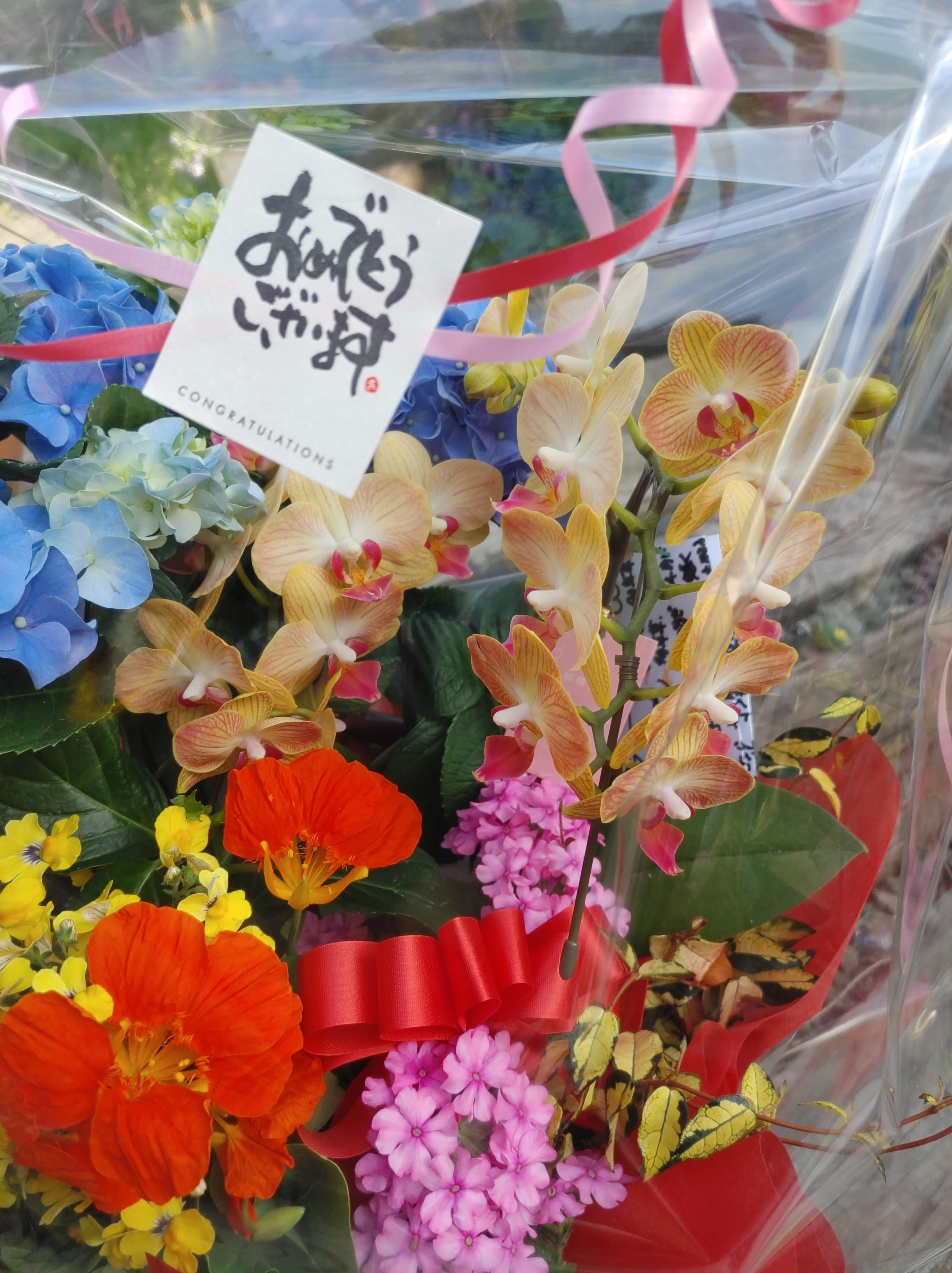 開店のお祝いに🌸