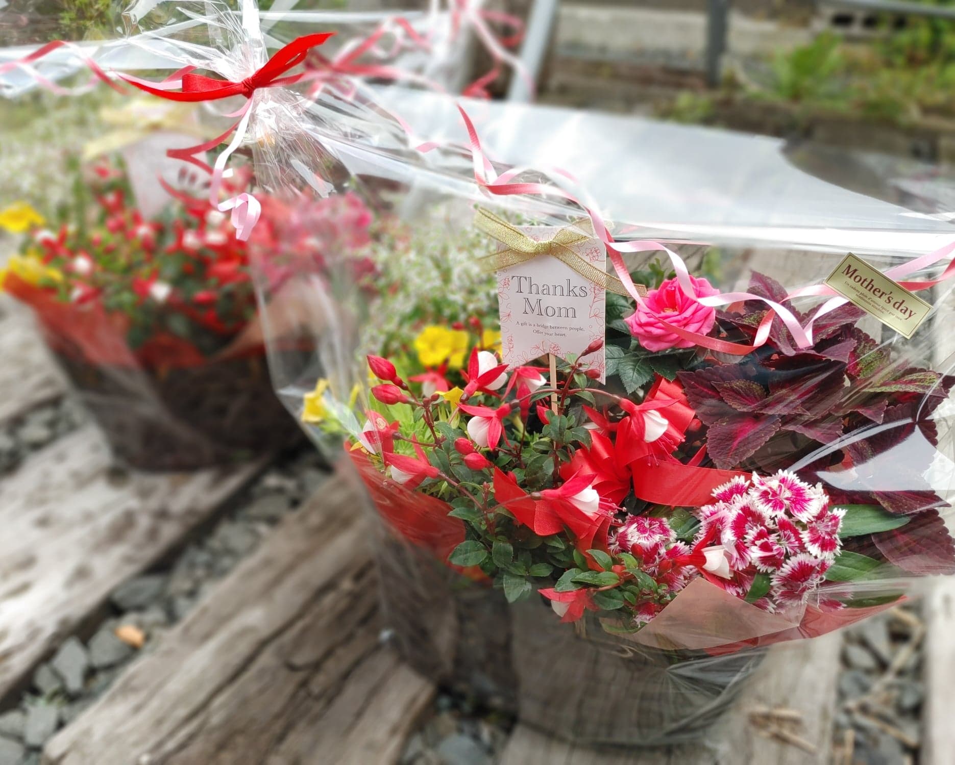 続☆母の日ギフト