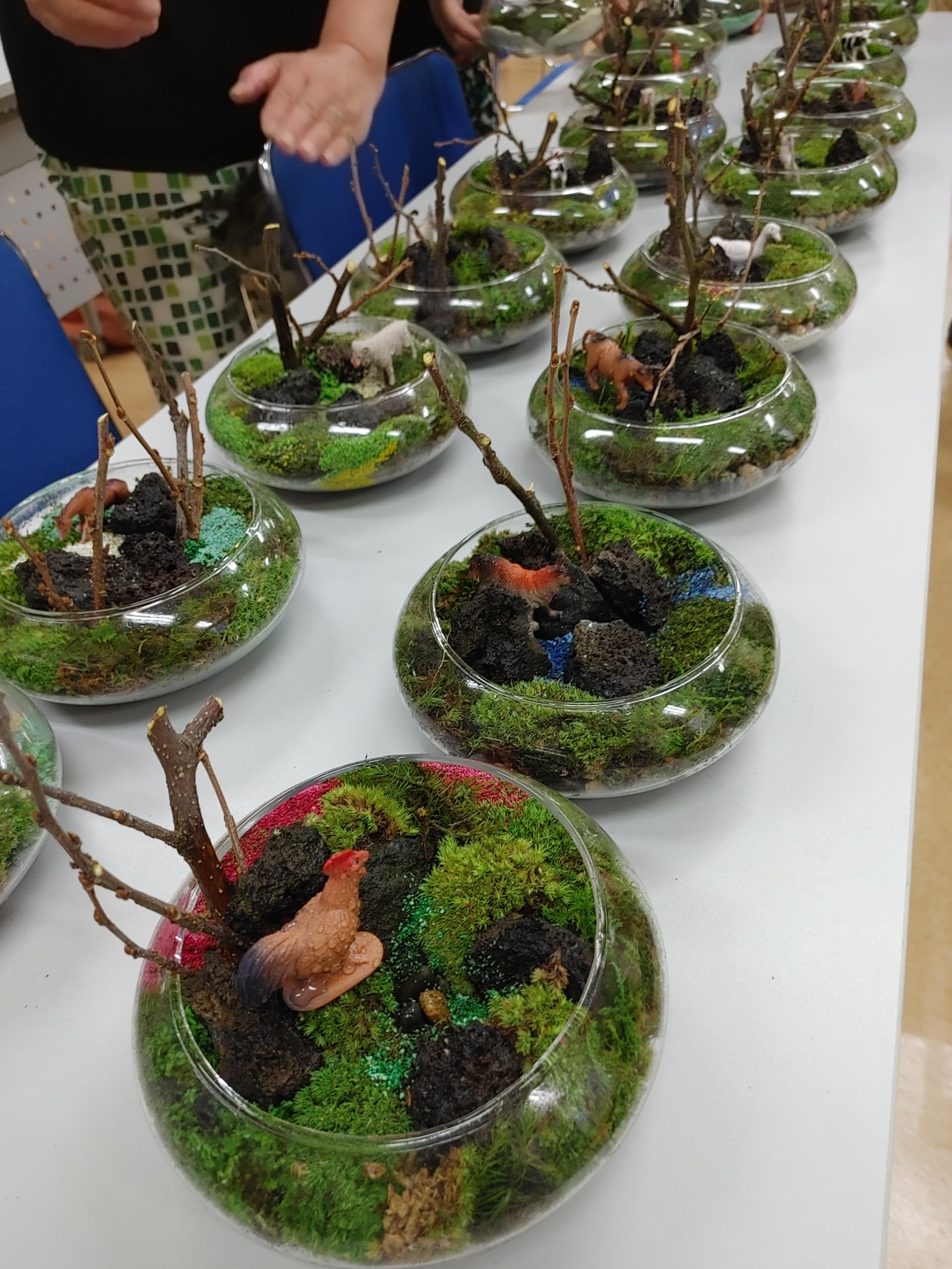 苔テラリウム教室