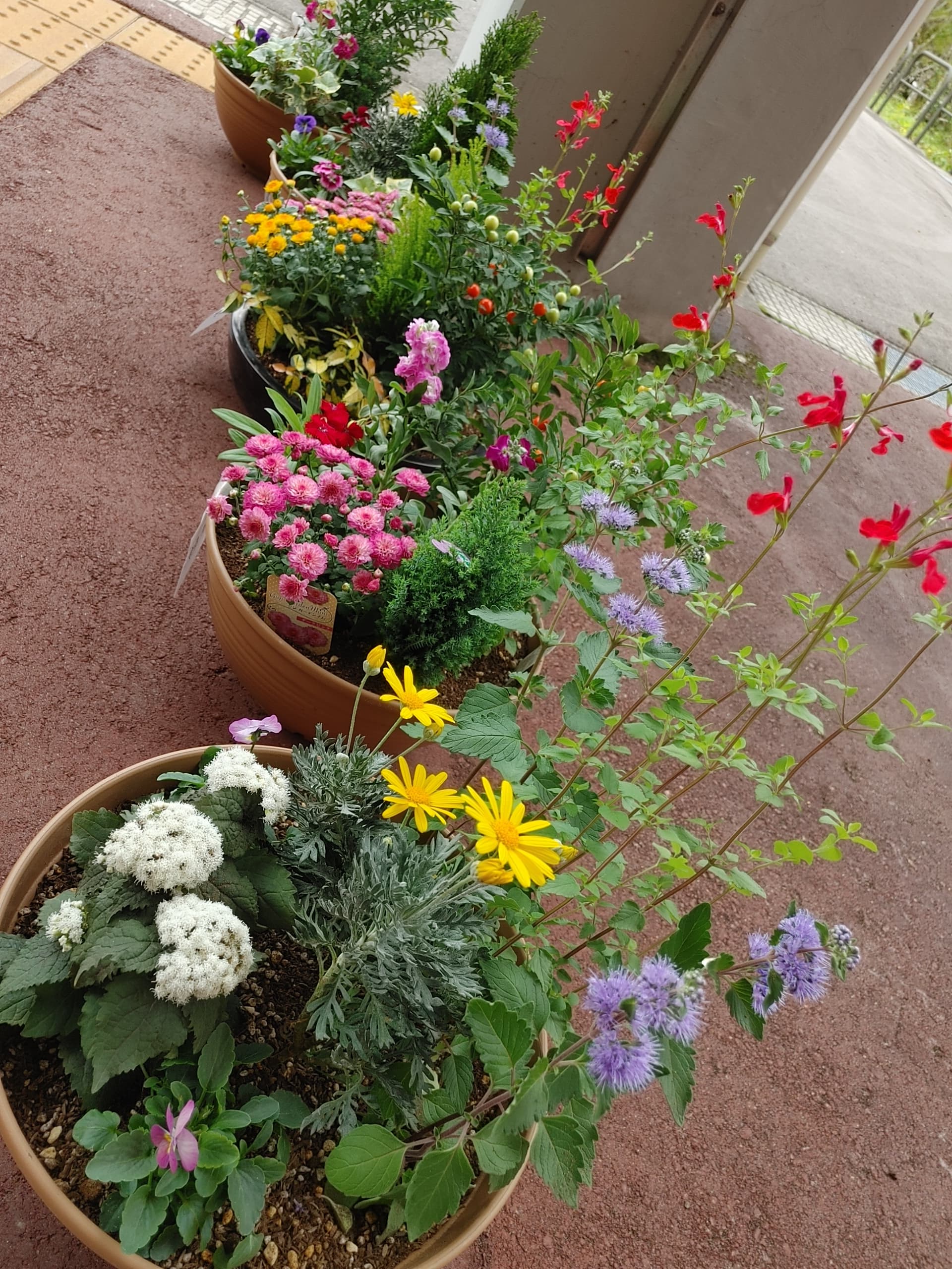 文化祭に向けて繁忙期