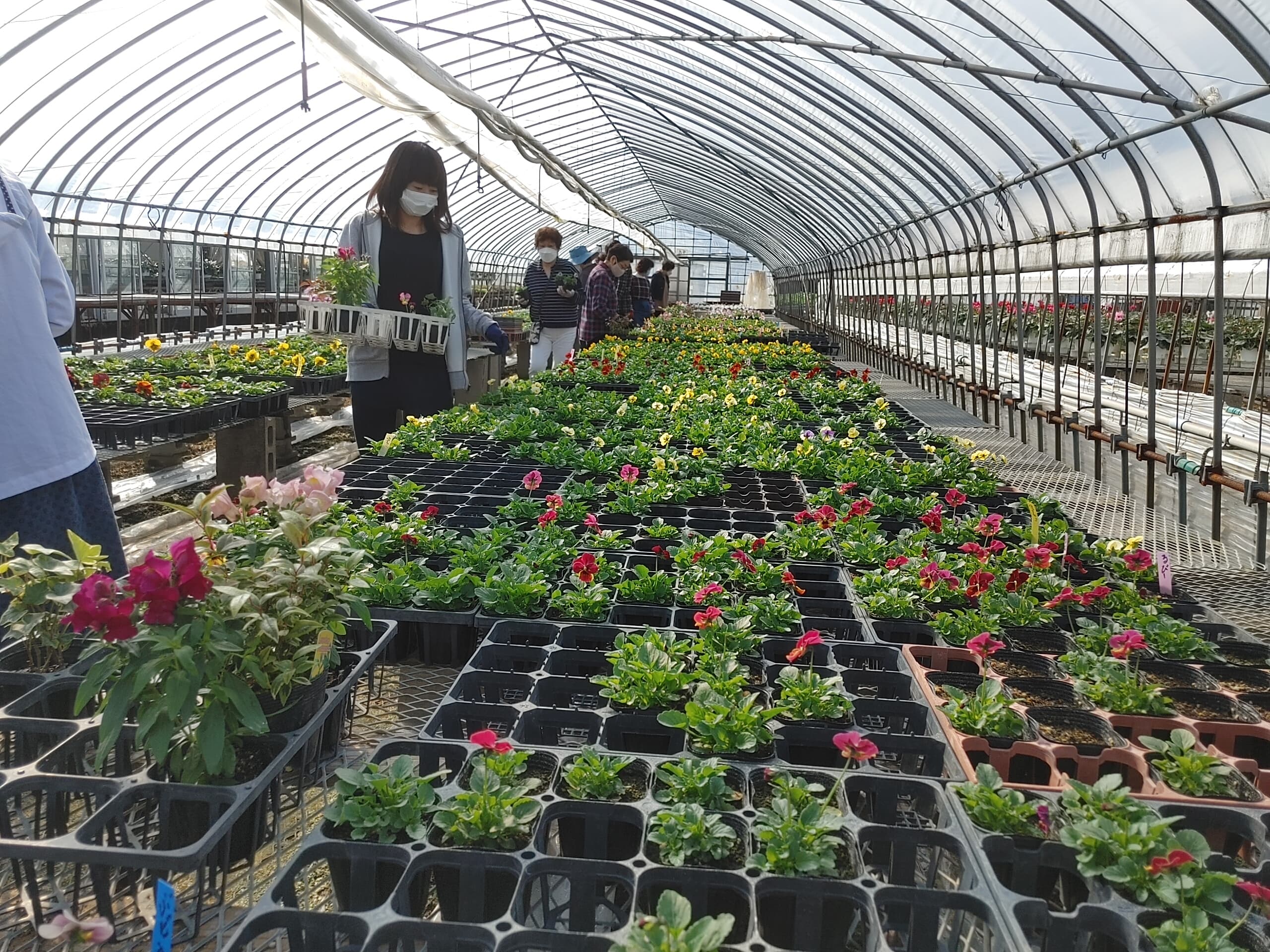 10月のJOY☆ガーデニング隊