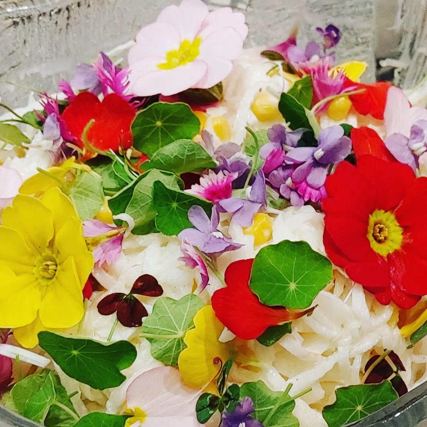 持ち寄りパーティー