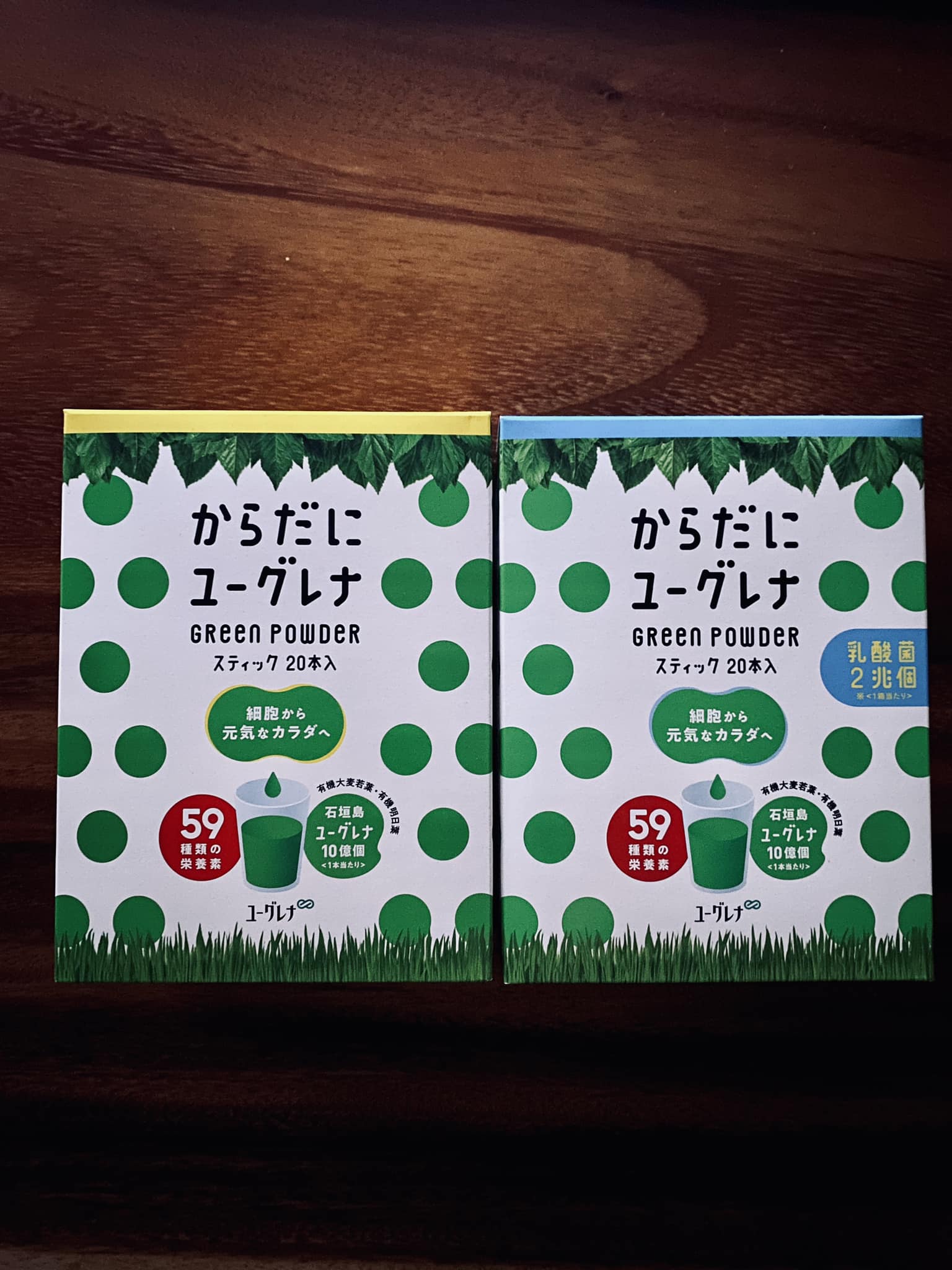 石垣島へ行きます！！！