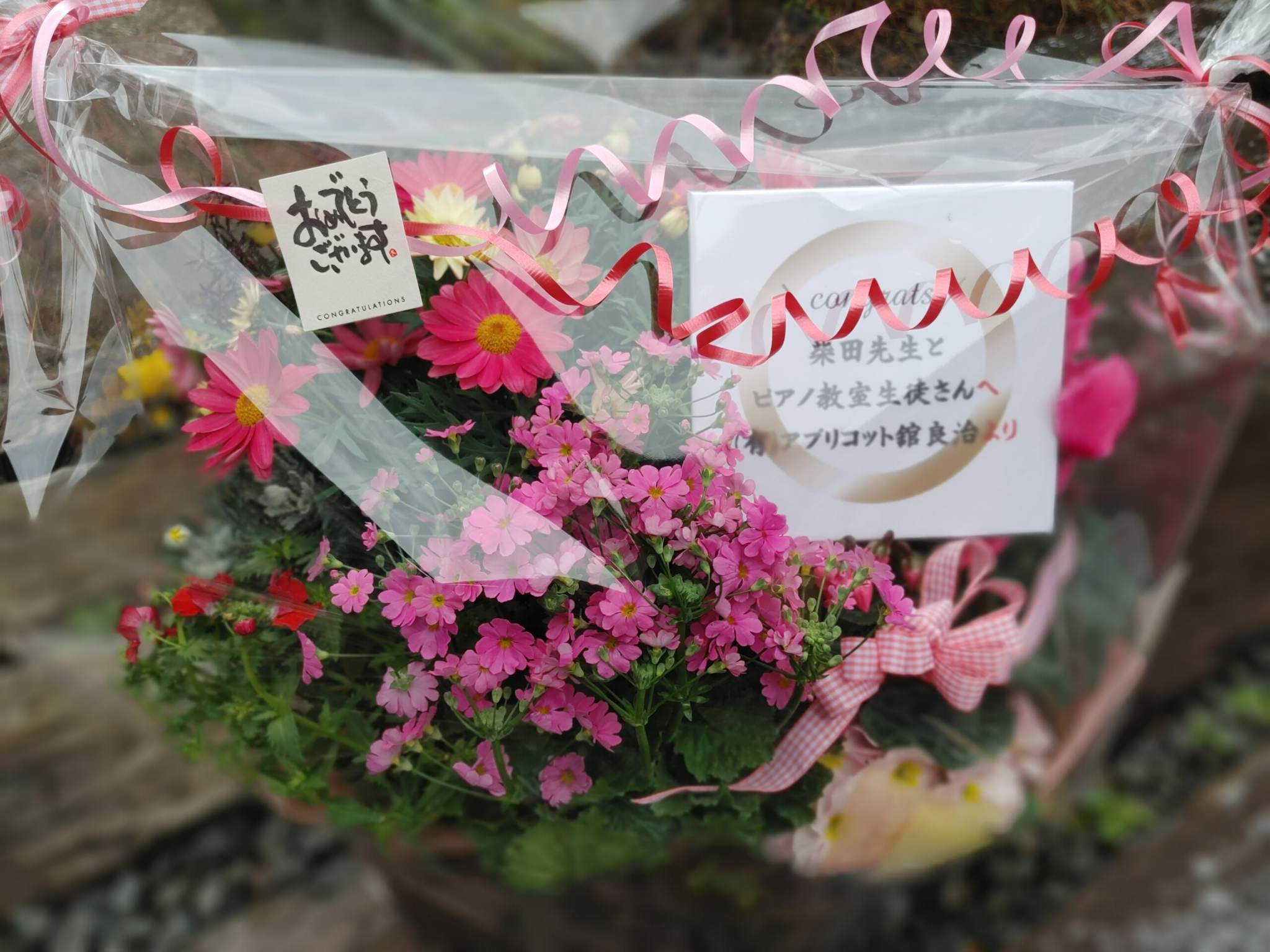 ピアノの発表会にお祝い花🌸