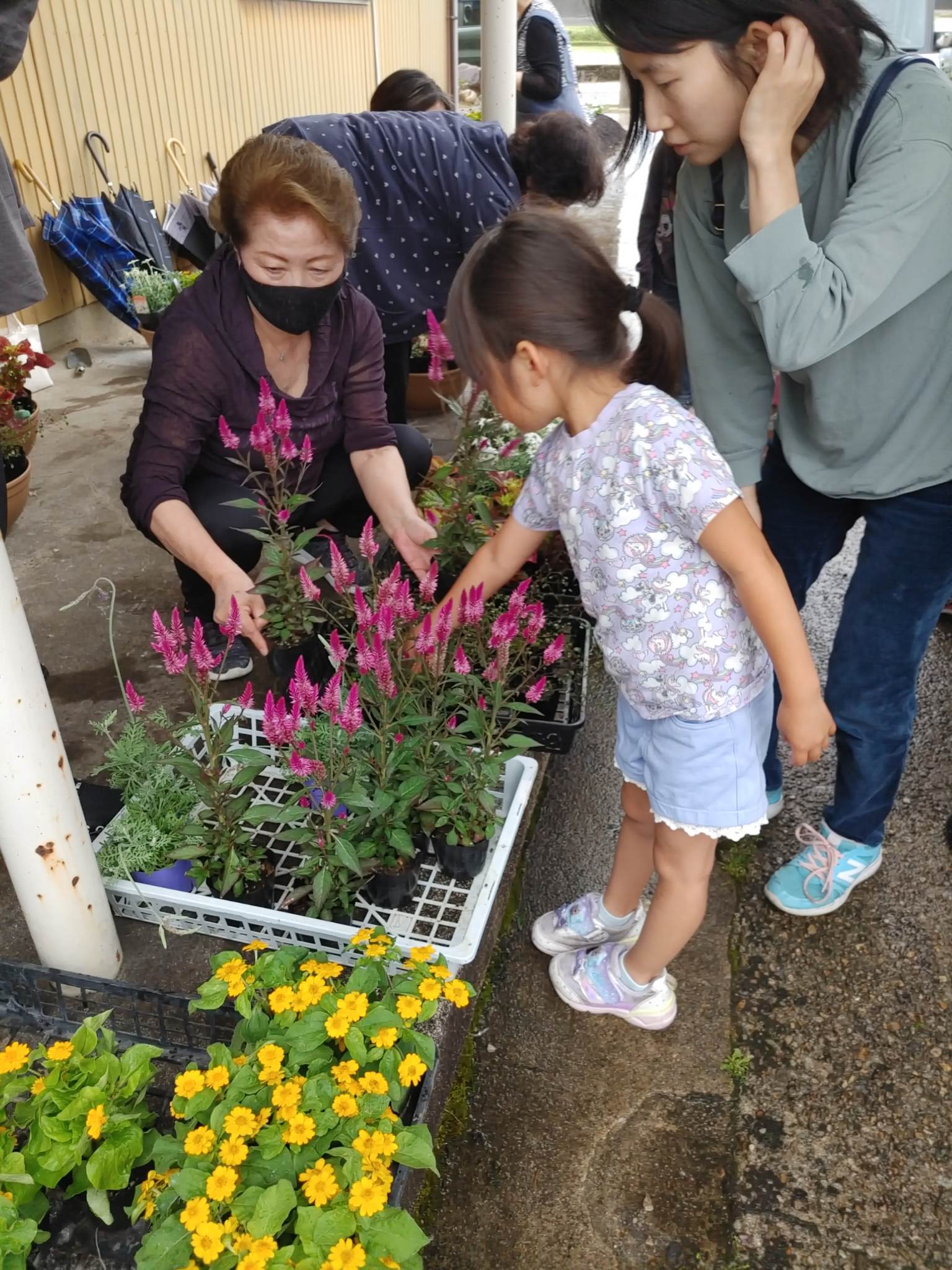 ついに北陸も梅雨入り