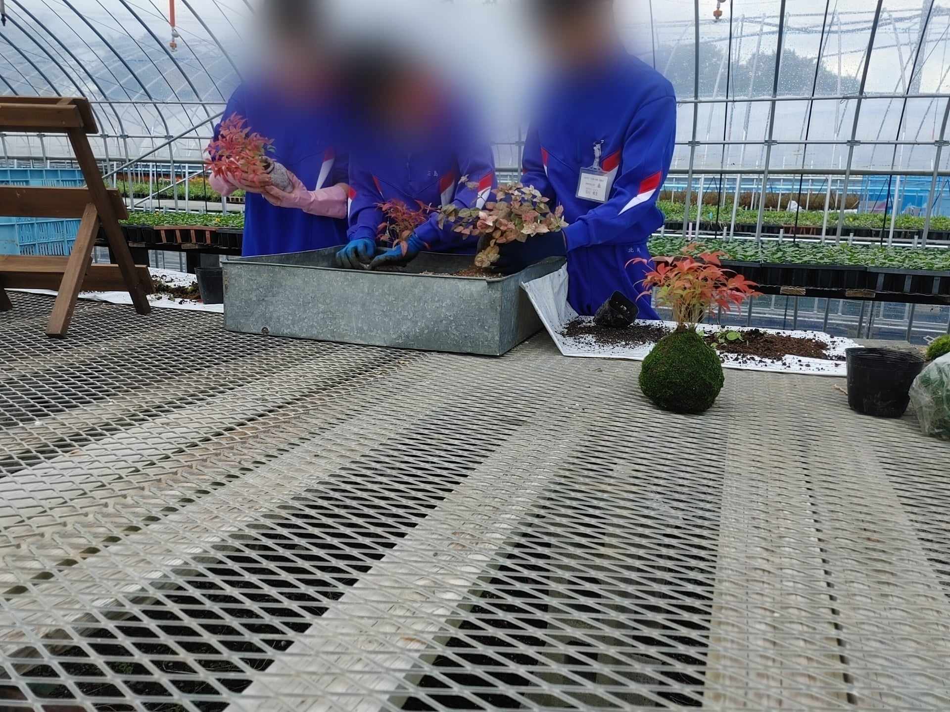 14歳の挑戦終了！！