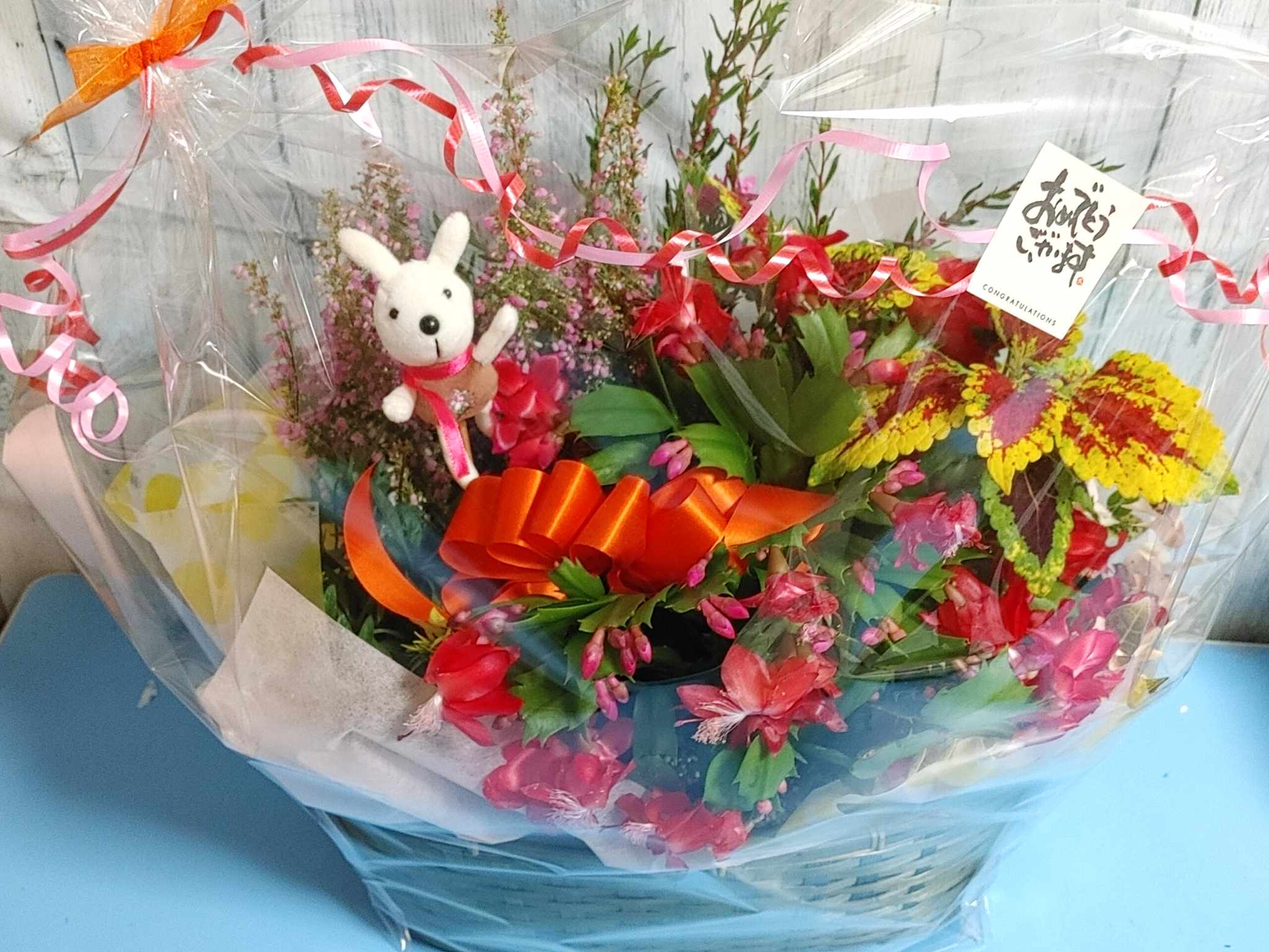 引っ越しのお祝いに❀