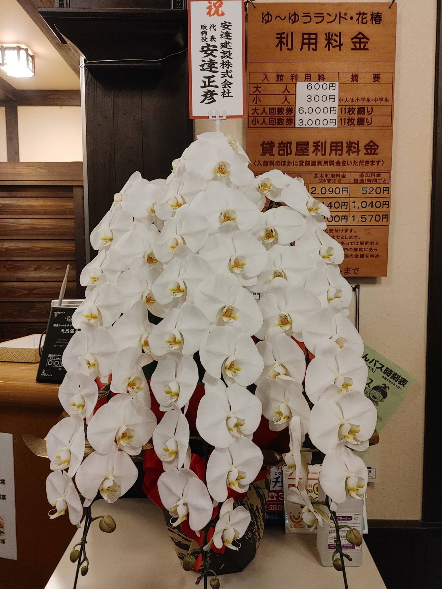 待ちに待った憩いの場復活