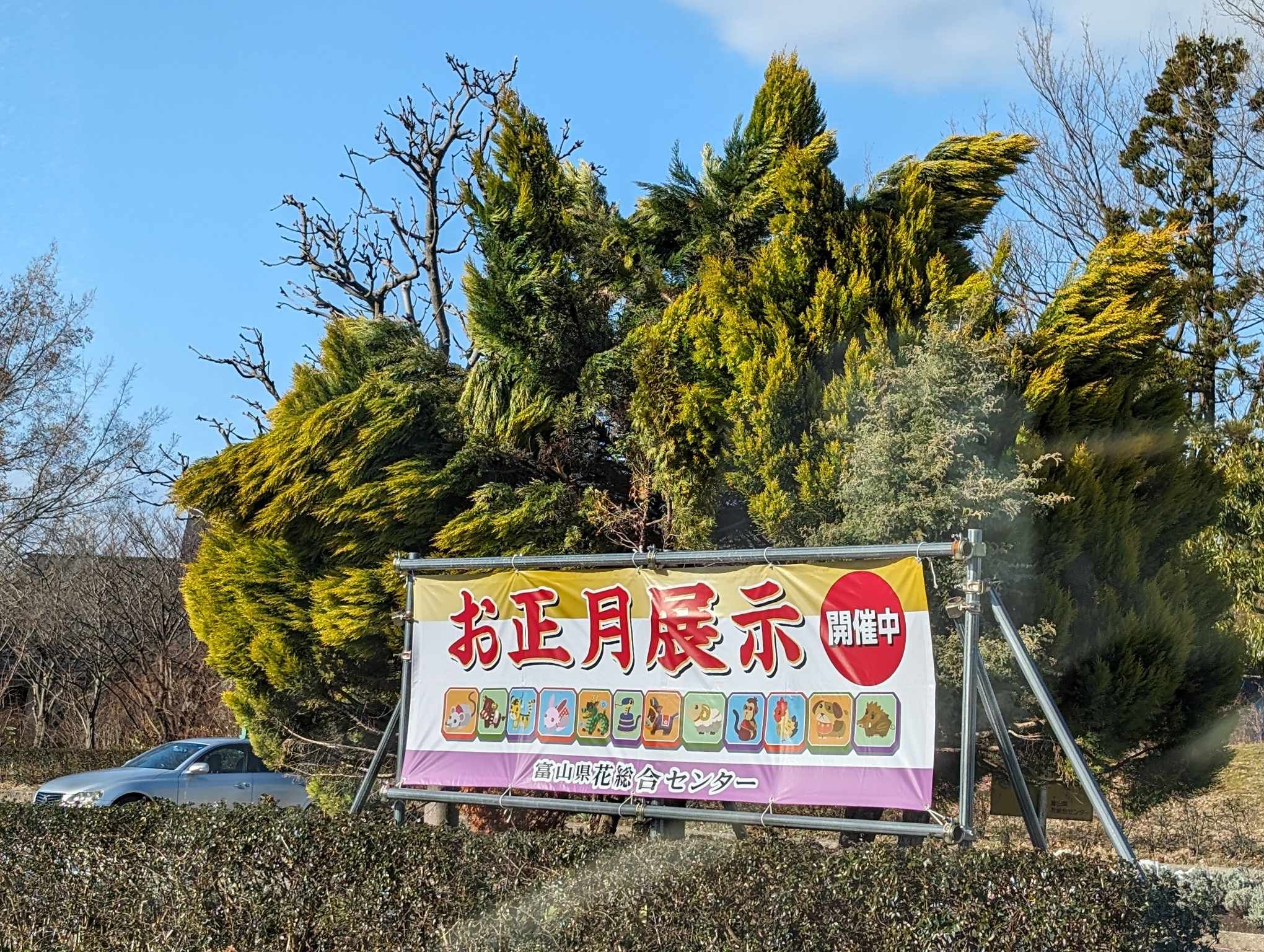 エレガガーデン正月展示開催中