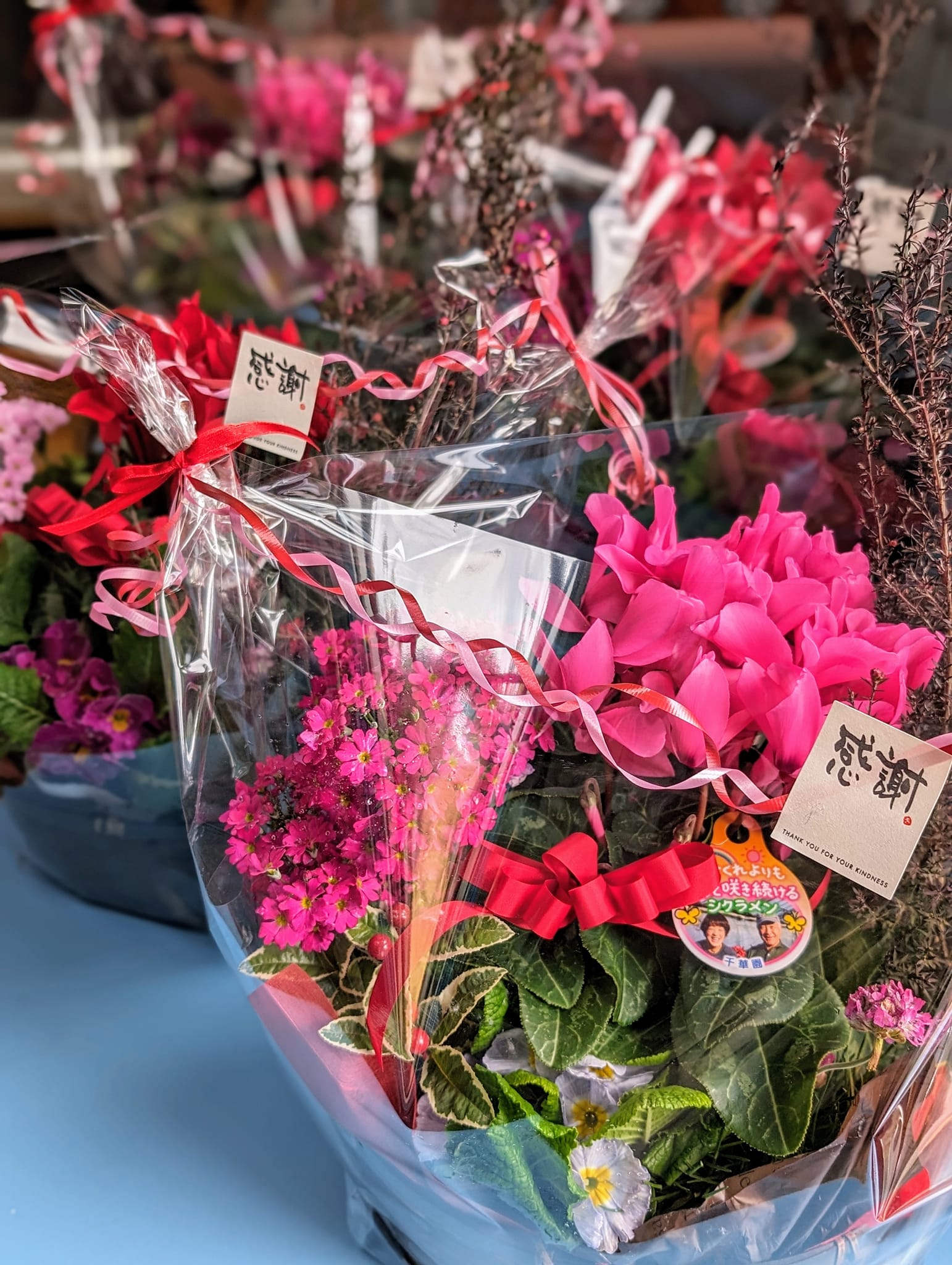 恩師へのフラワーンダフルギフト