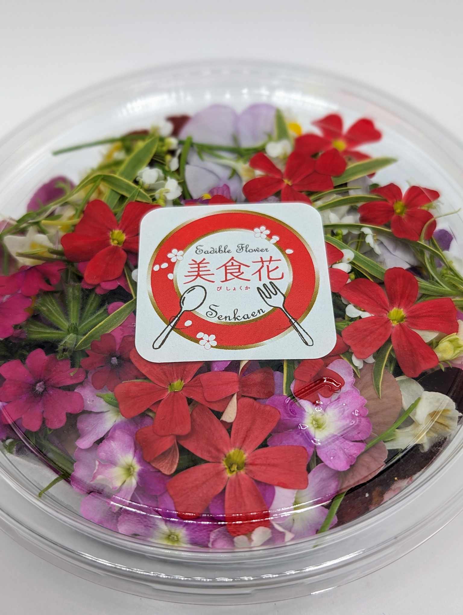 還暦ロングロールケーキ用