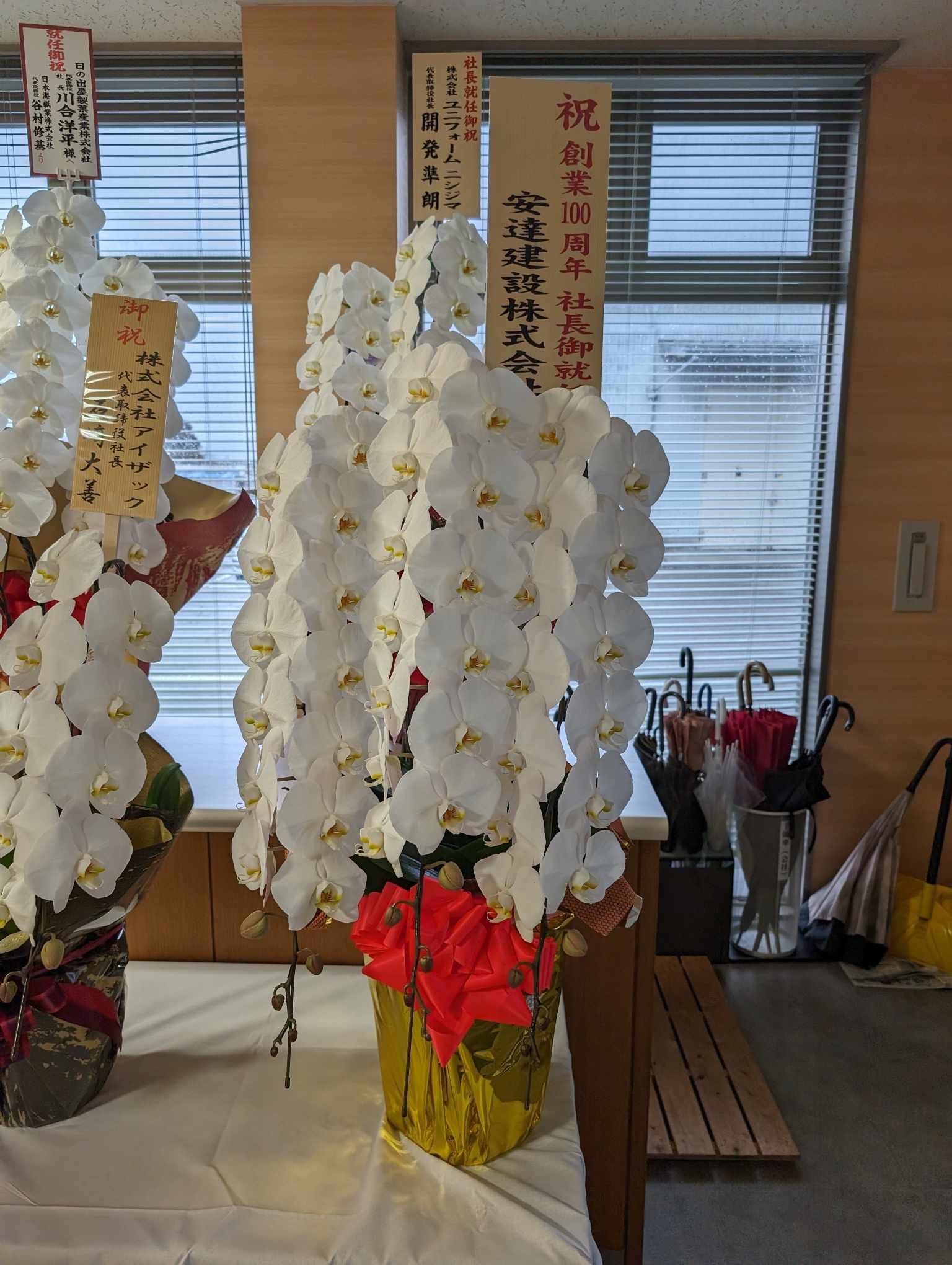 胡蝶蘭のお届け